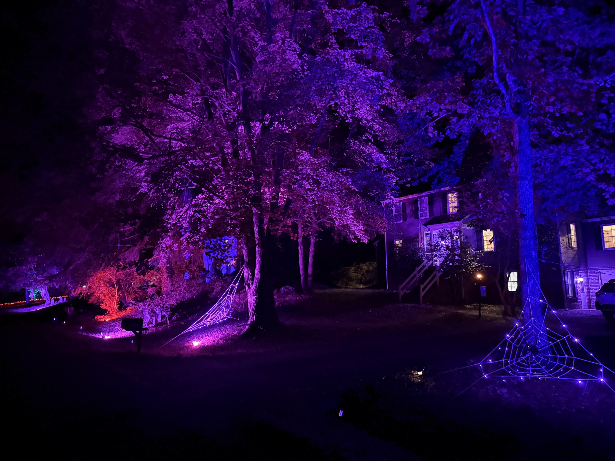 Volunteers — Zombie Fun Run