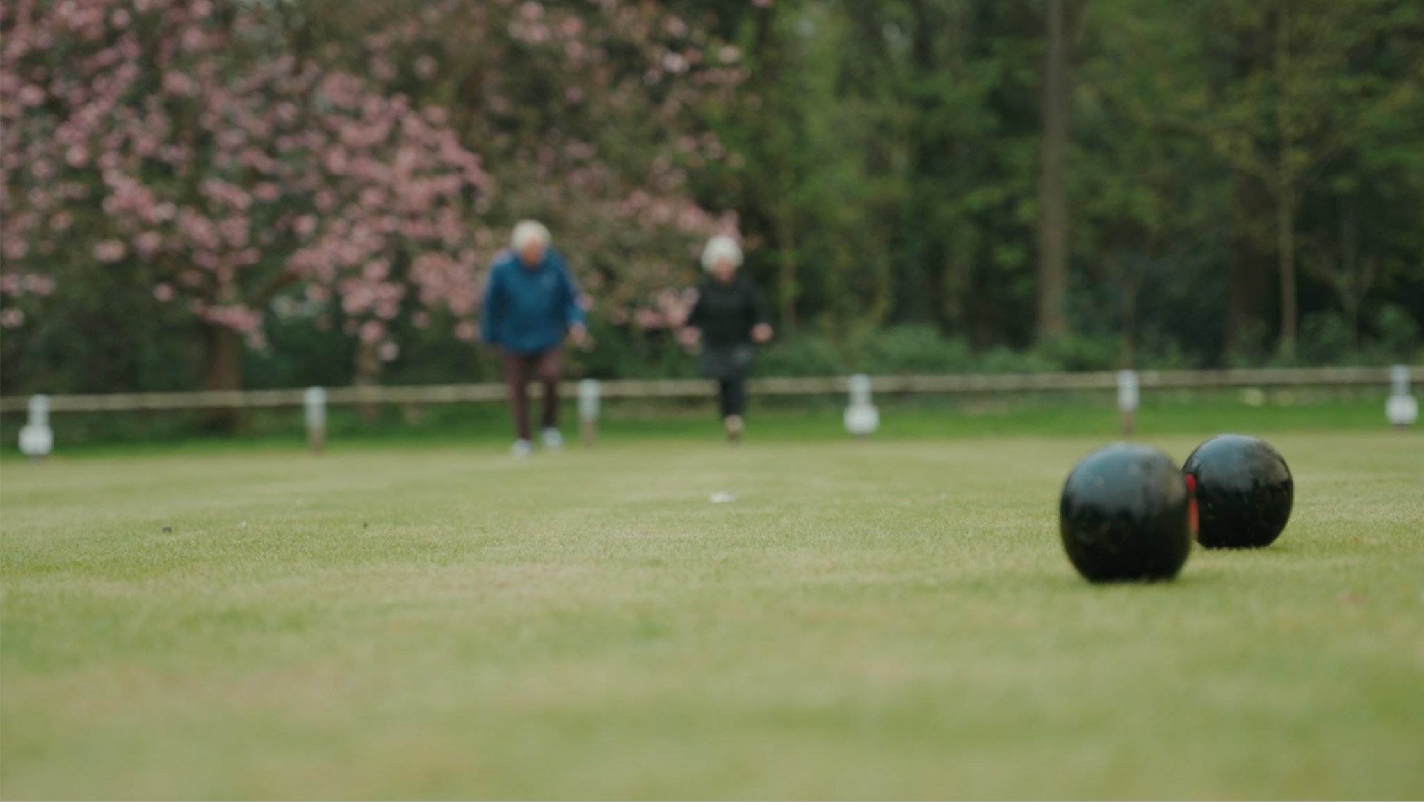 Nature for Health Denbighshire 2024 Screenshot 2026-01-05 at 14.53.44.jpg