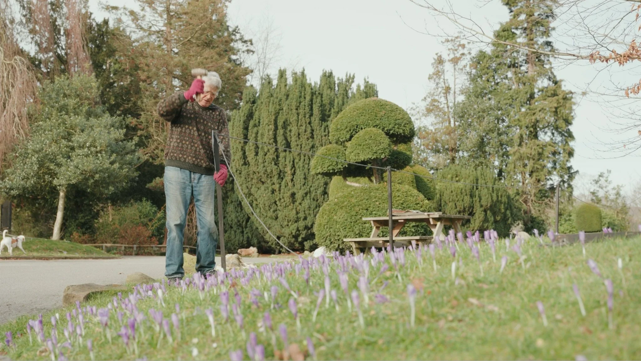 Nature for Health Denbighshire 2024 Screenshot 2026-01-05 at 14.54.53.jpg