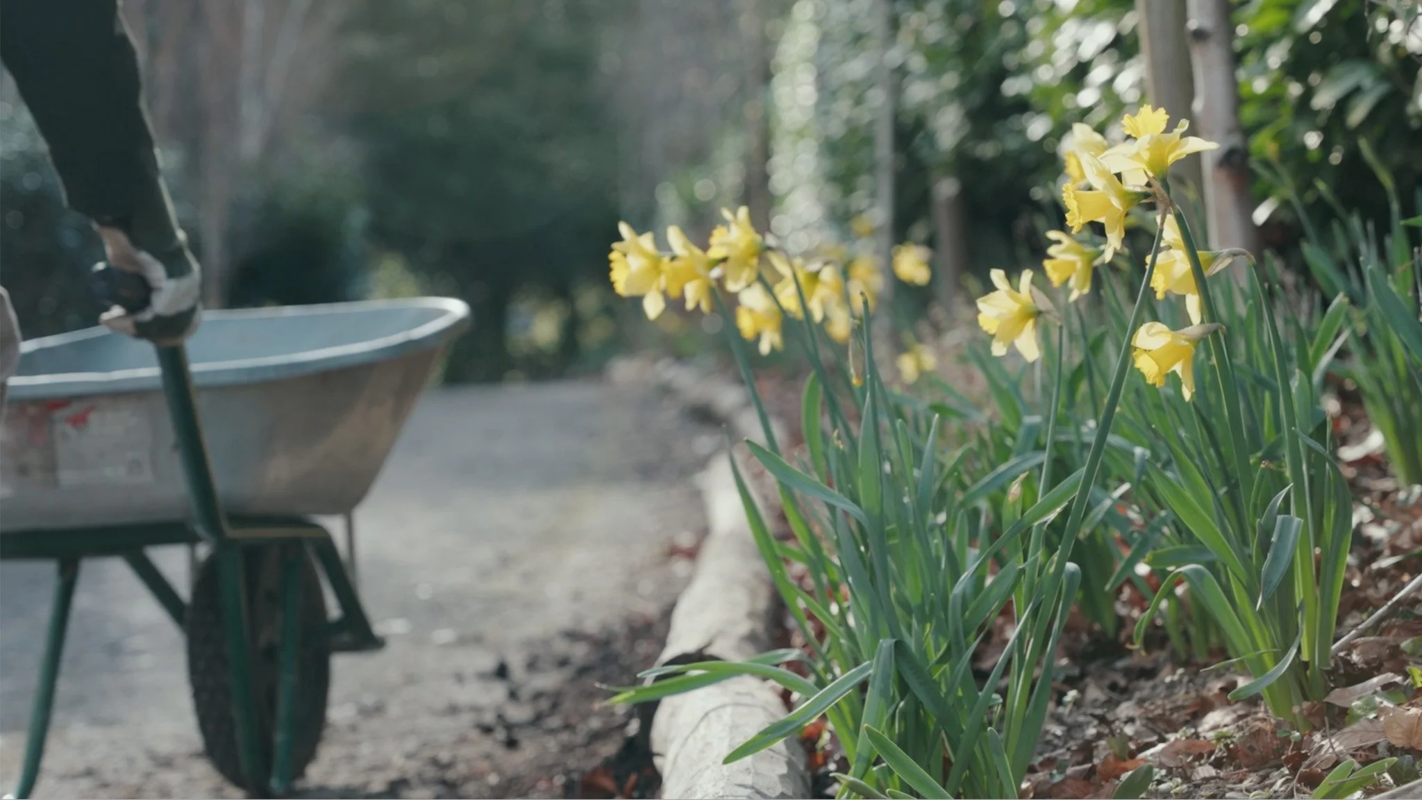 Nature for Health Denbighshire 2024 Screenshot 2026-01-05 at 14.55.04.jpg