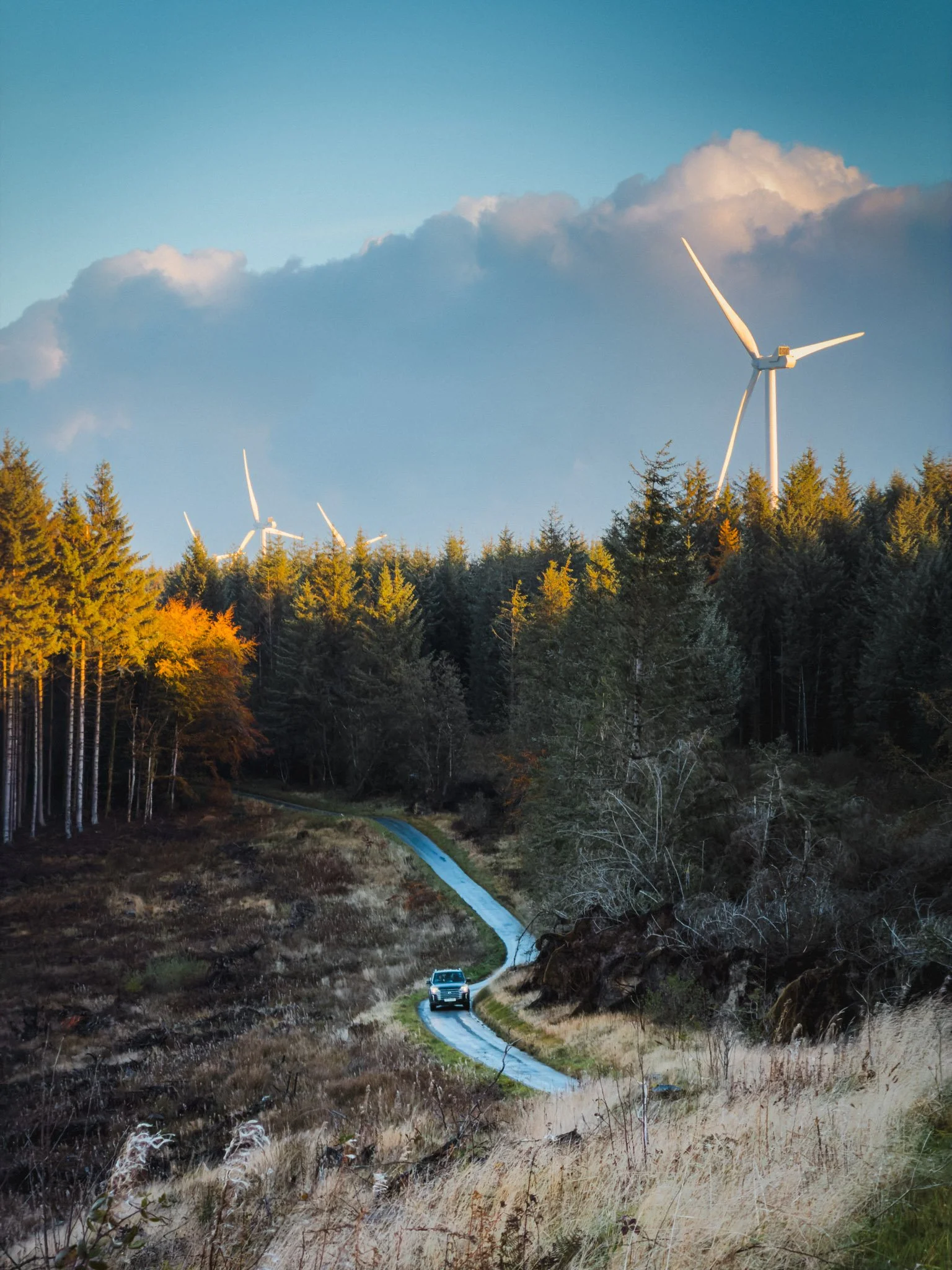 EM KGM Musso - 251025 Cambrian Rally 2025 WEB RES-0003.jpg