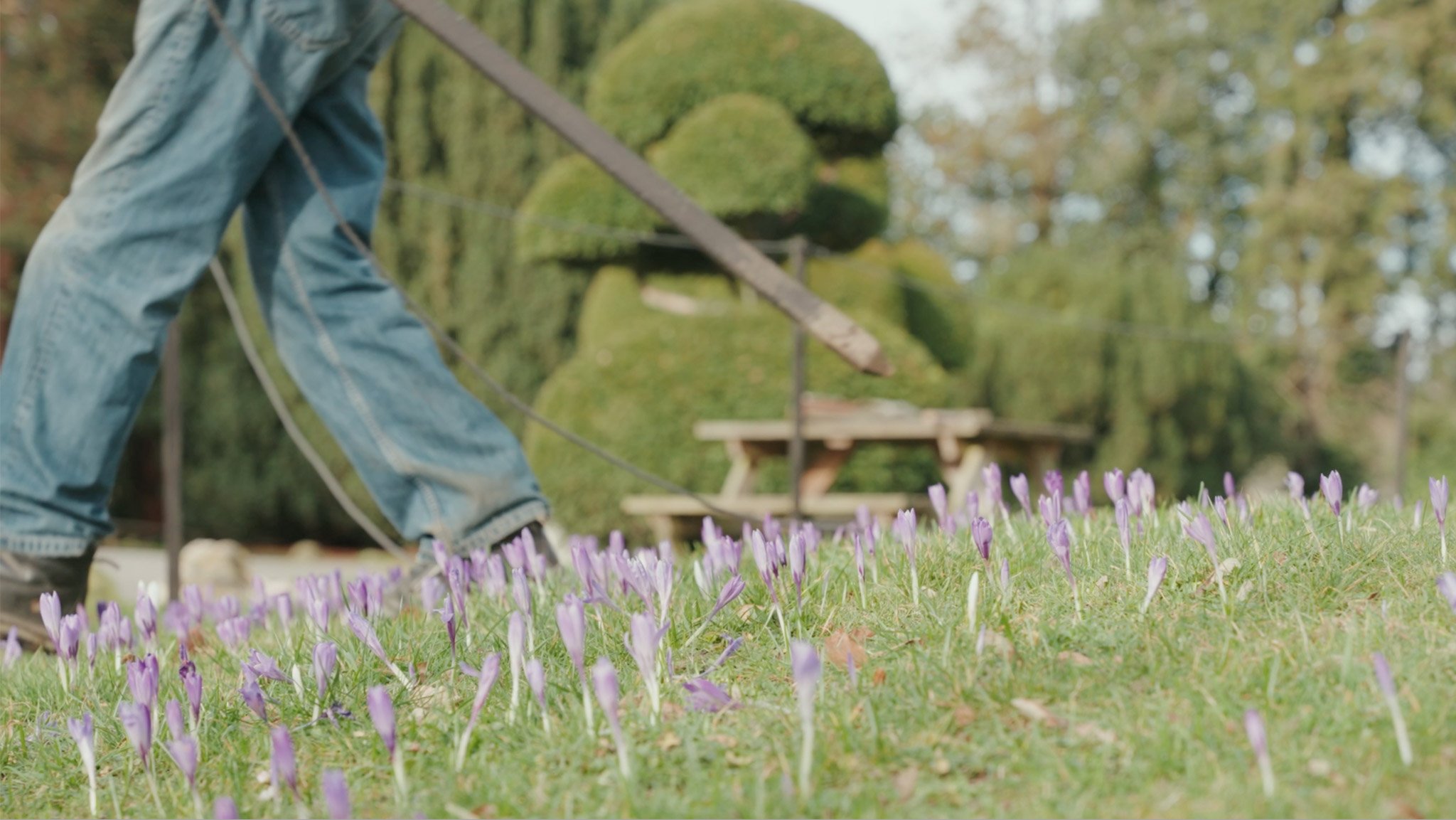 Nature for Health Denbighshire 2024 Screenshot 2026-01-05 at 14.54.36.jpg