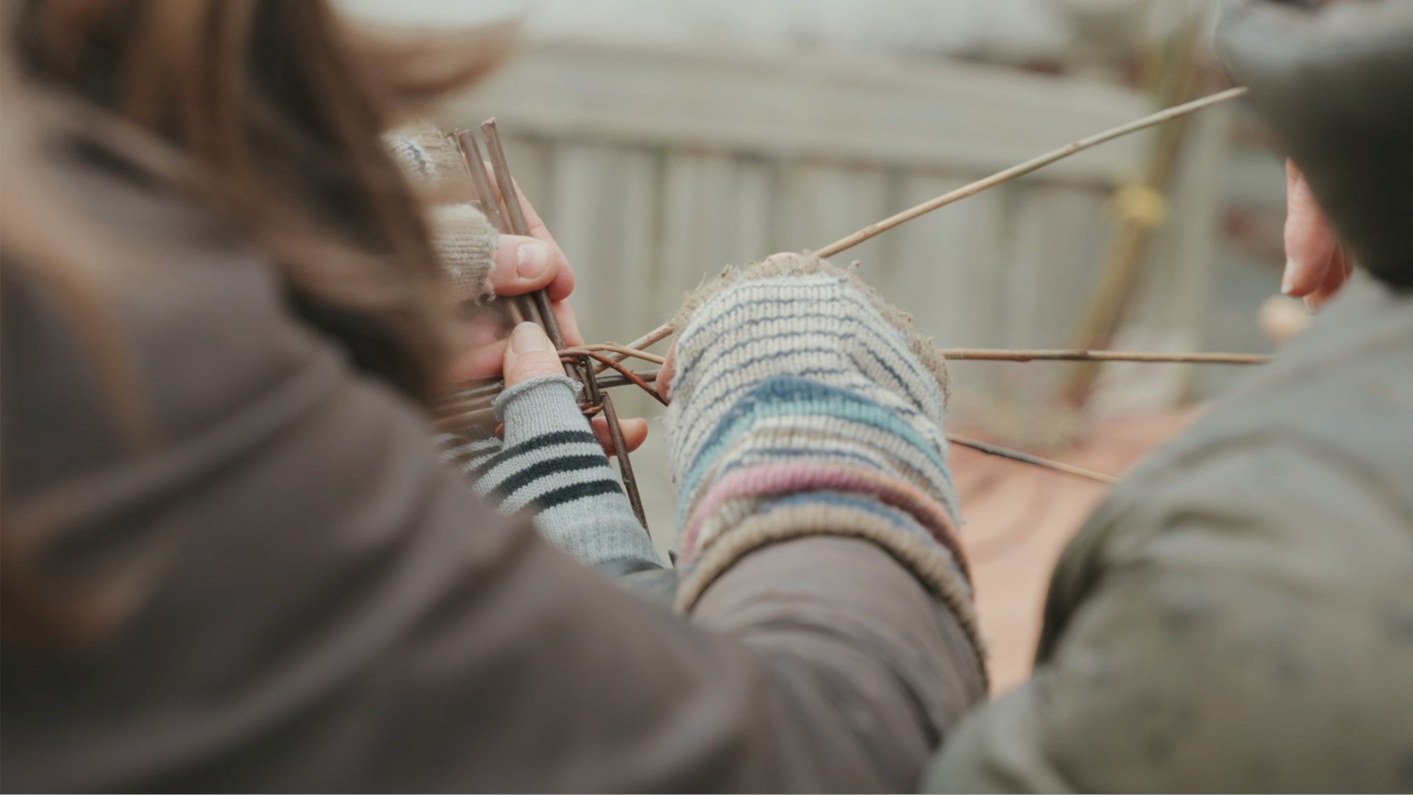 Nature for Health Denbighshire 2024 Screenshot 2026-01-05 at 14.59.23.jpg