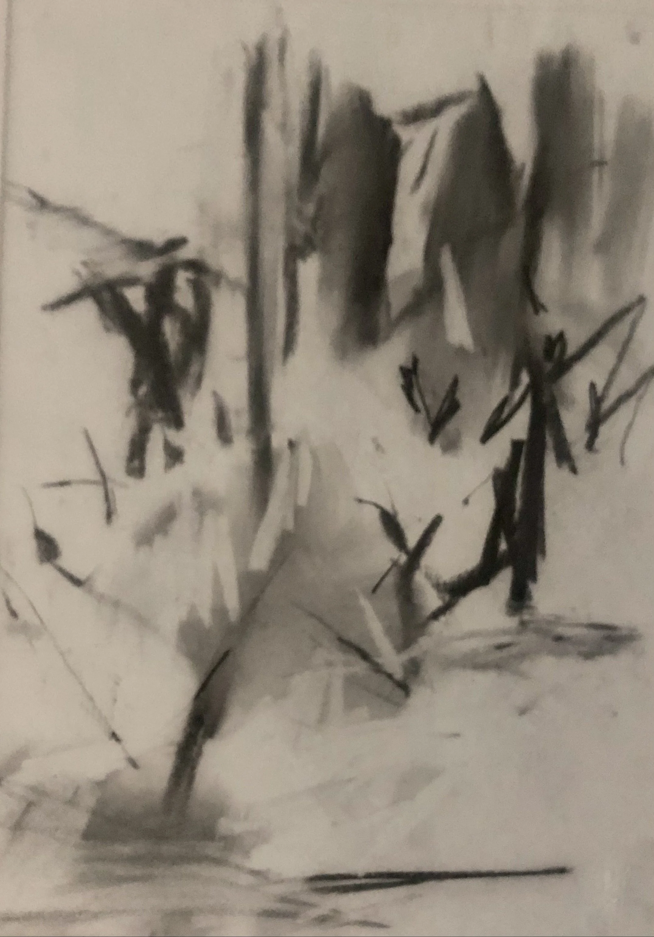 Charcoal 4.JPG