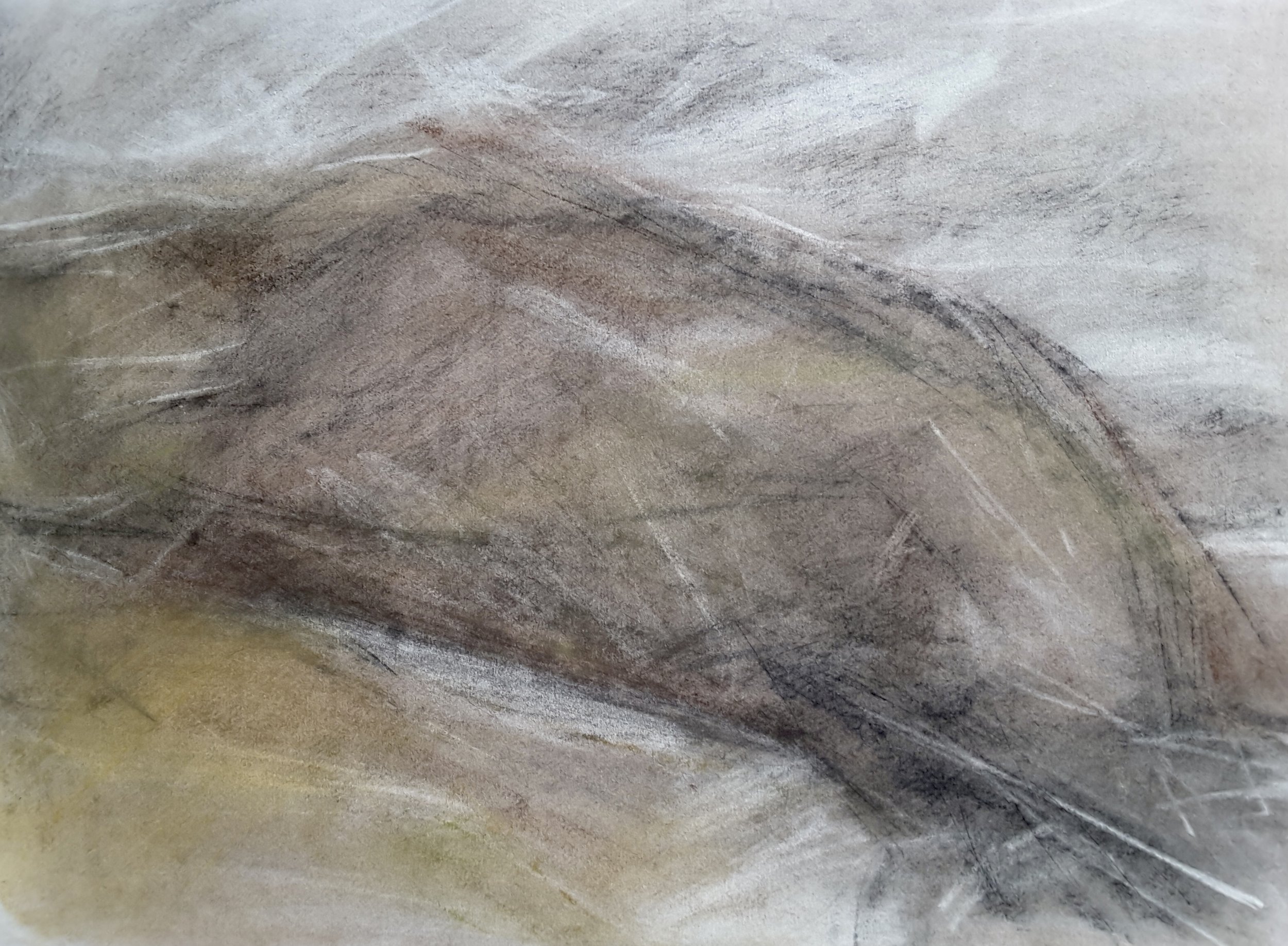 Charcoal 18.jpg