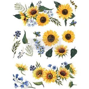 https://i.etsystatic.com/6317639/r/il/8bc71f/4841262026/il_fullxfull.4841262026_eiuz.jpg