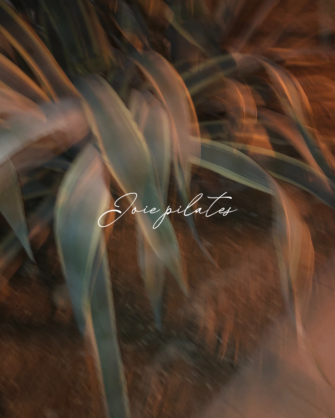 Joie Pilates.png