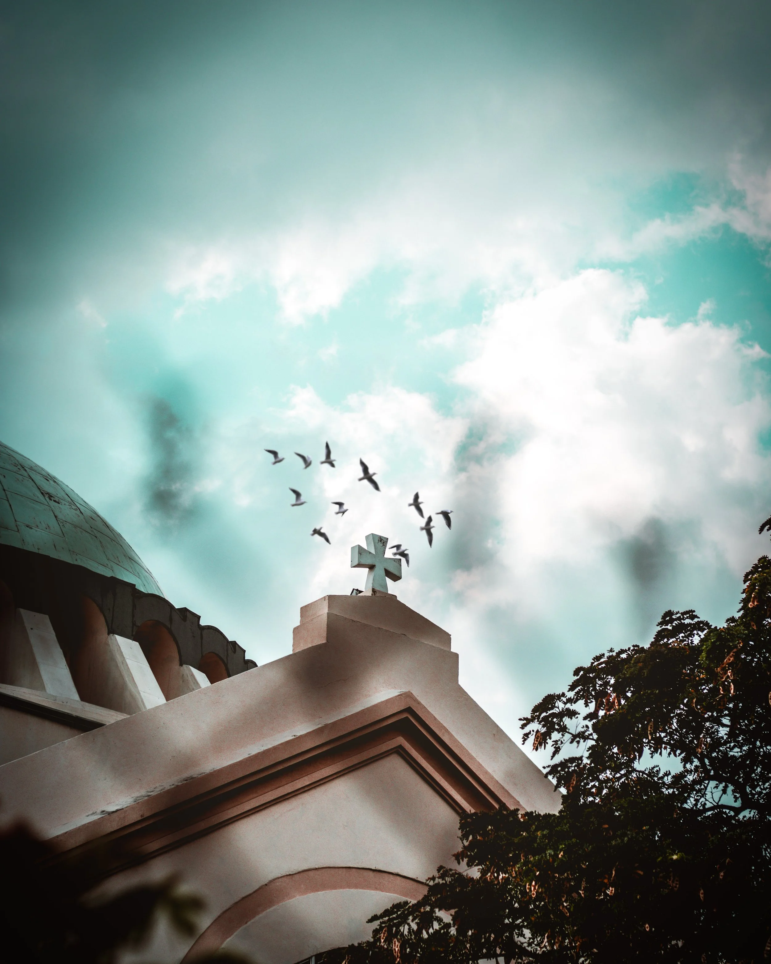 IMG_9406-Edit.jpg
