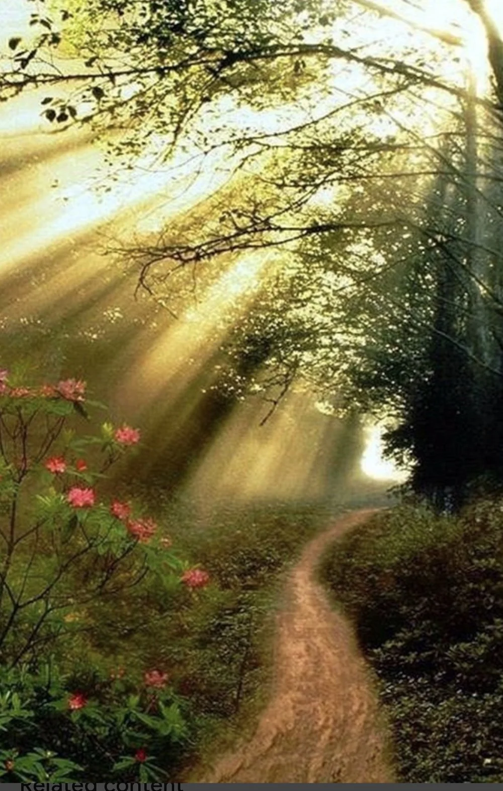 146. So many pathways