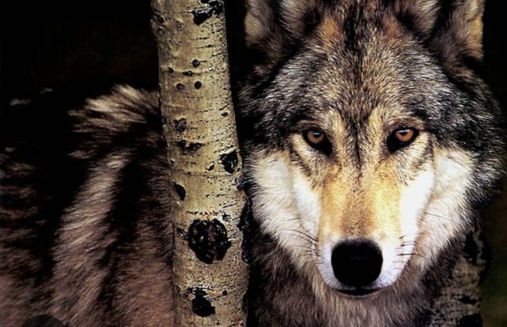 148. Very helpful friends!!