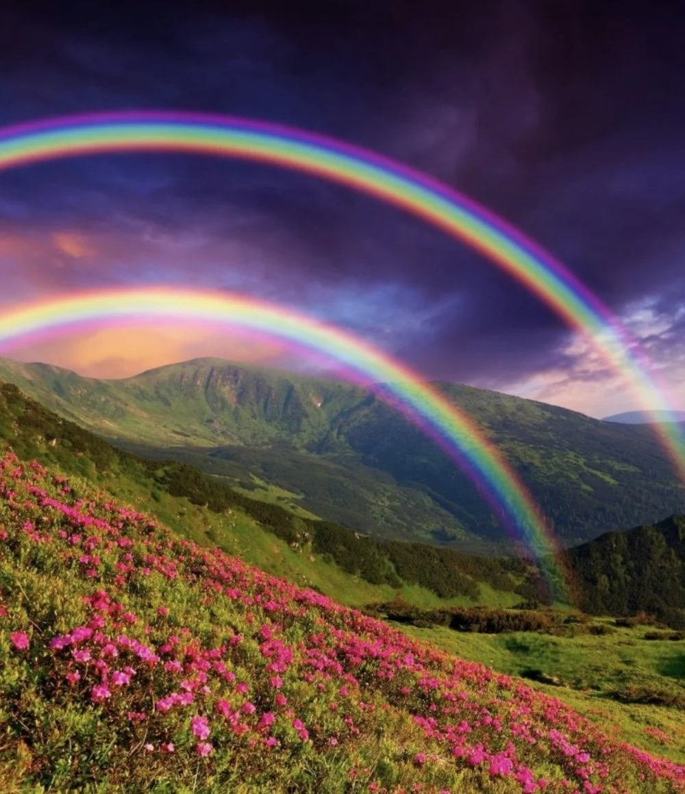 149. Shower me in Sunshine!