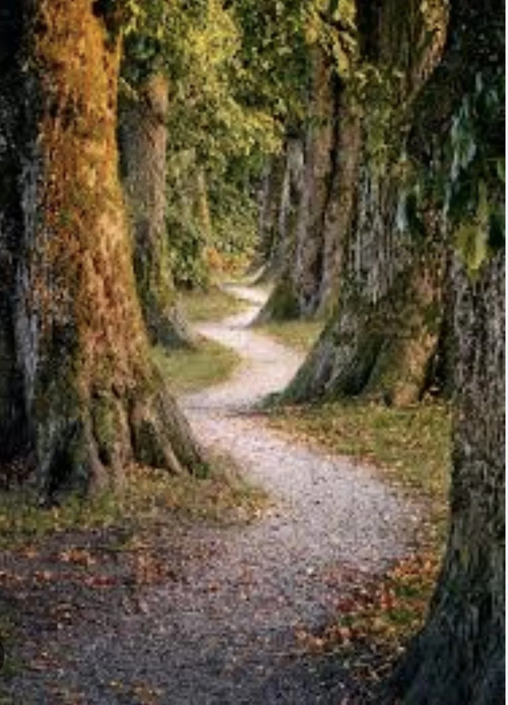 153. The twists and turns!