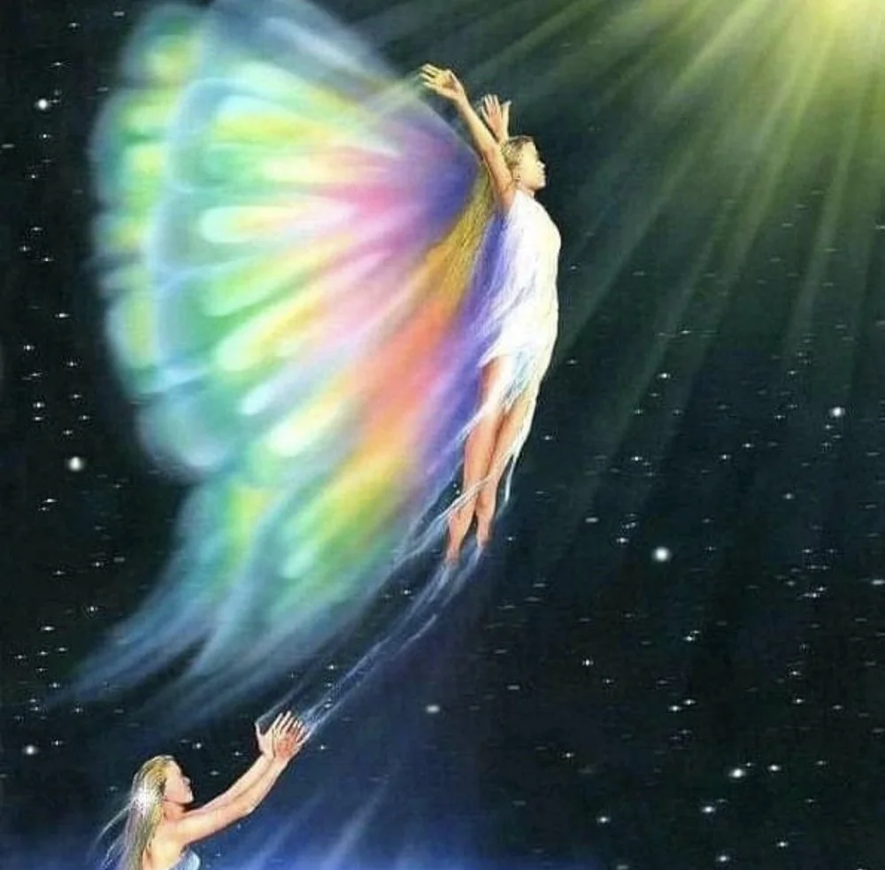 163. Coming home 🌟