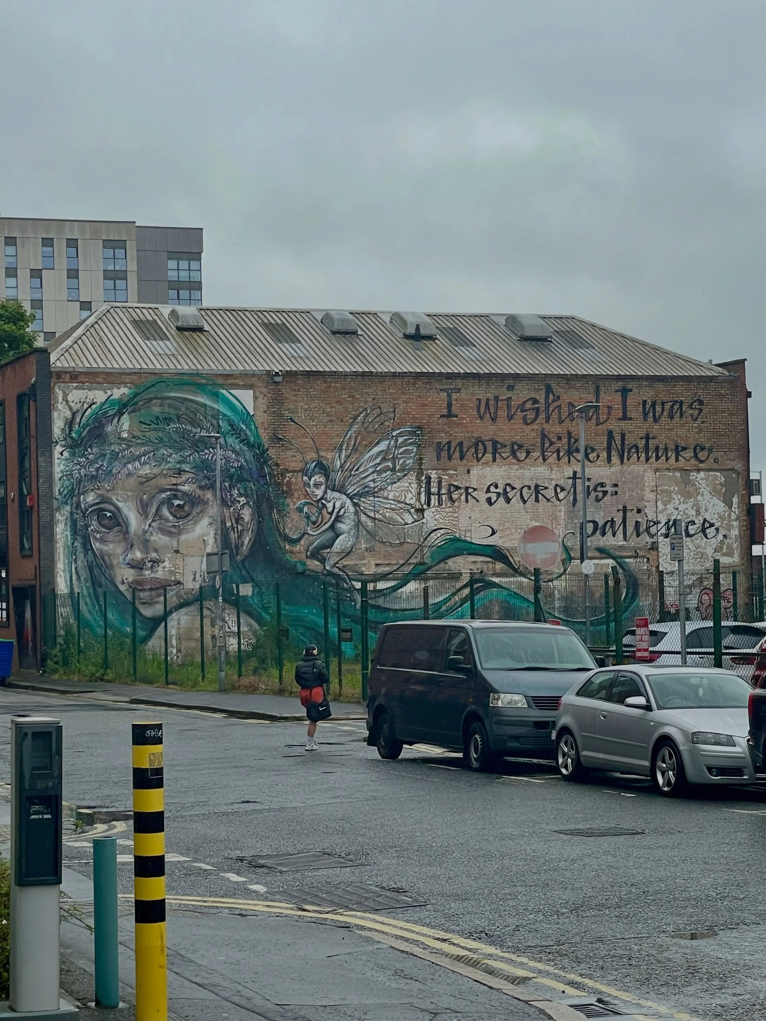 &ldquo;I wish I was more like Nature. Her secret is patience.&rdquo;
Mural outside @themacbelfast where we screen Super Nature @docsireland 6.15pm today. A love letter to nature created on Super 8 by people connecting across the world. Preceded by a 