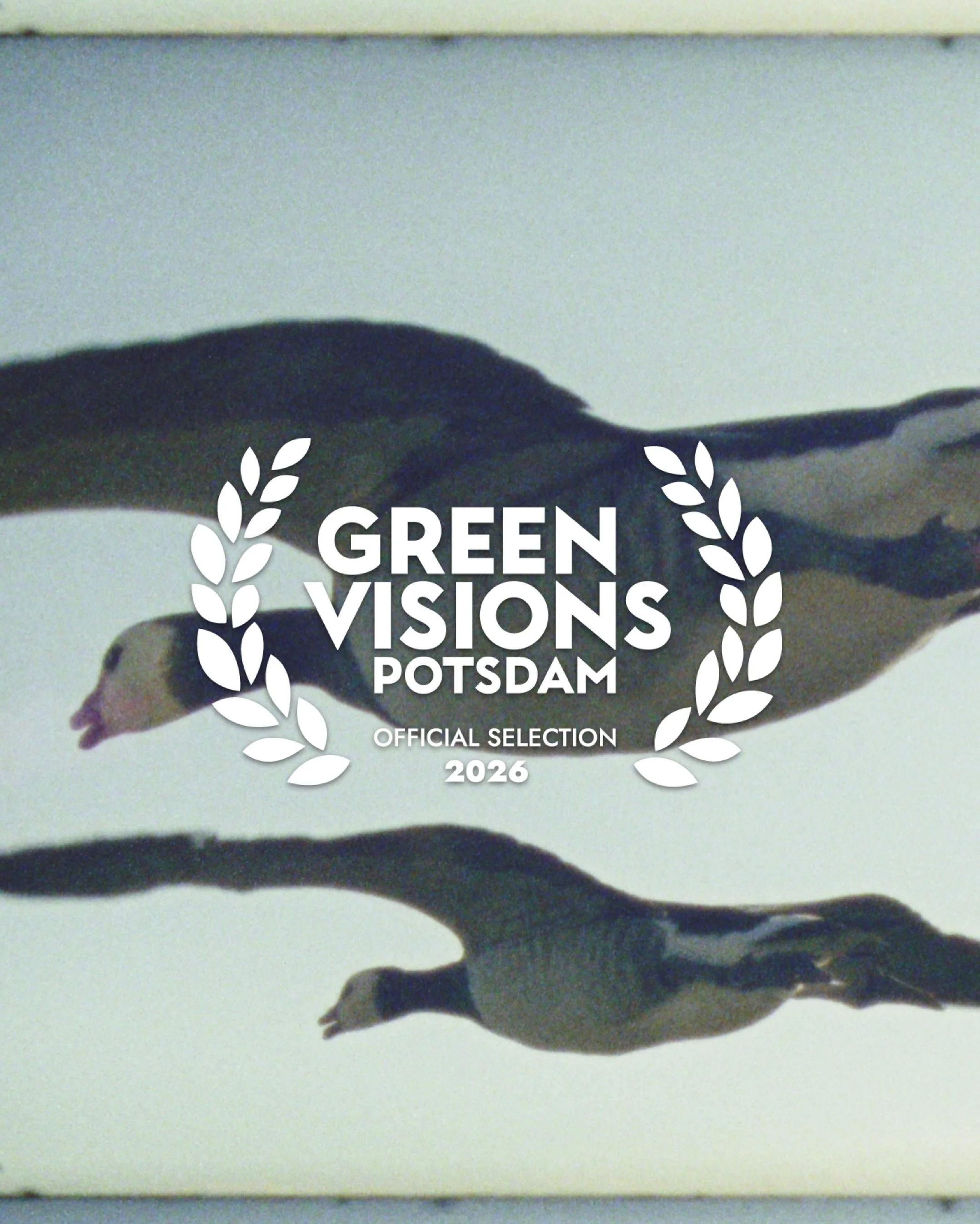We&rsquo;re honoured to have been asked to bring Super Nature as the closing night film to @greenvisionspotsdam this weekend. Screening Sunday May 31st 2026 in @filmmuseumpotsdam 

Director Ed Sayers @edinstacam will present the film, travelling by @