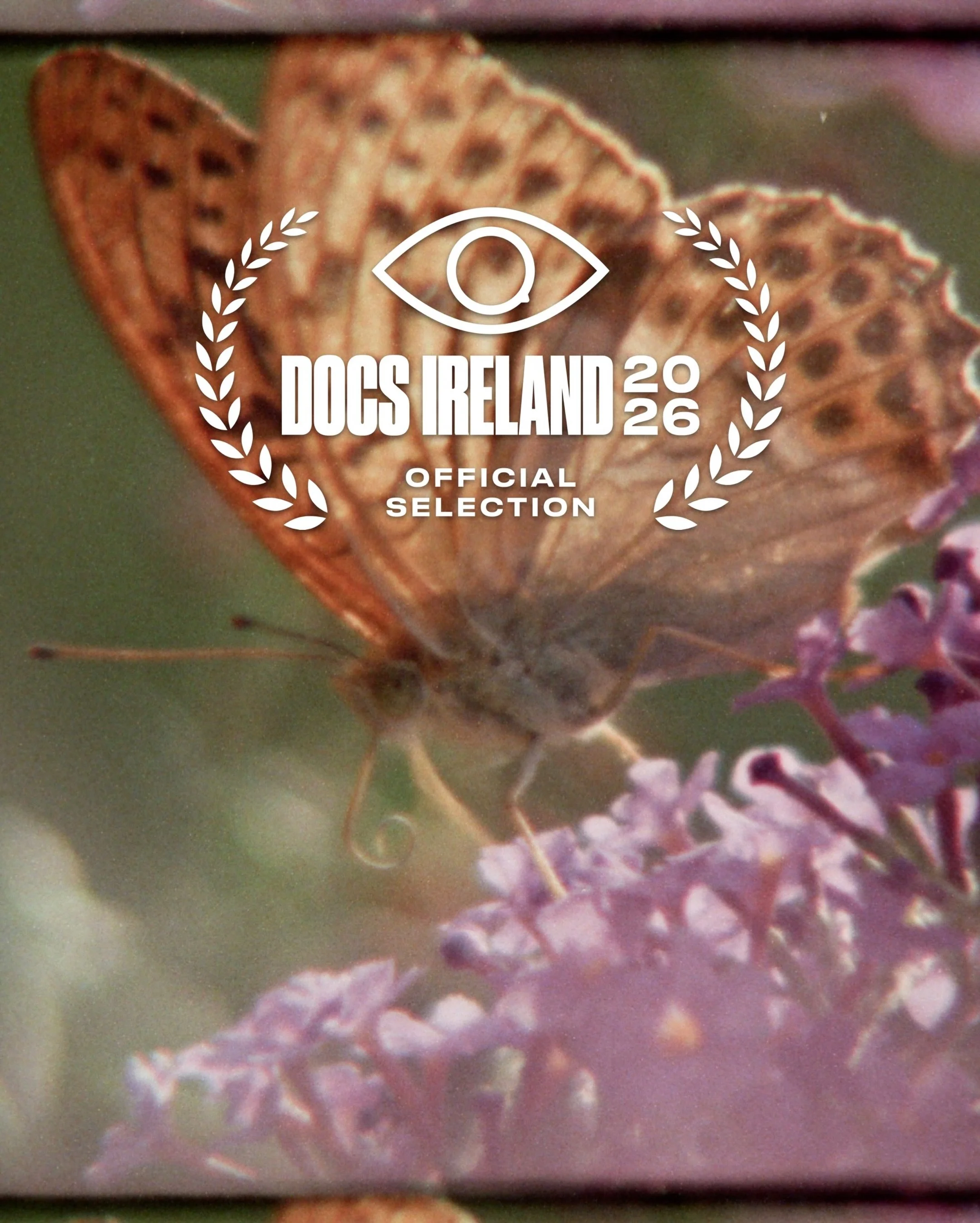 we&rsquo;re delighted @supernaturefilm will screen at @docsireland on june 18th @themacbelfast at 6.15pm and will be the subject of an in depth case study in the Creative Documentary Making in Focus session presented in partnership with @thedocsociet