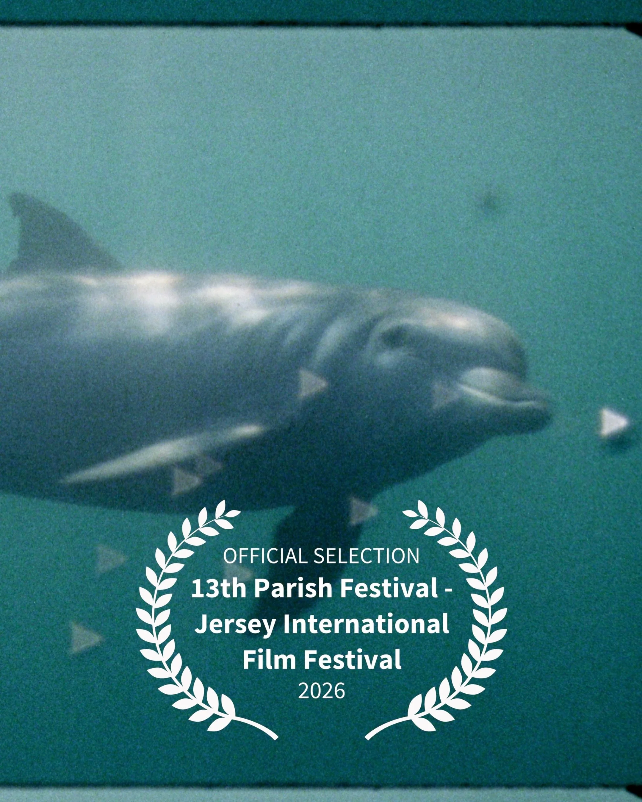 calling jersey and the channel islanders! super nature will play at @13thparishfestival this friday 22nd may 3pm @jerseyartscentre 

we&rsquo;d love you to see it and to hear what you make of it. 

super nature is a love letter to nature created on s