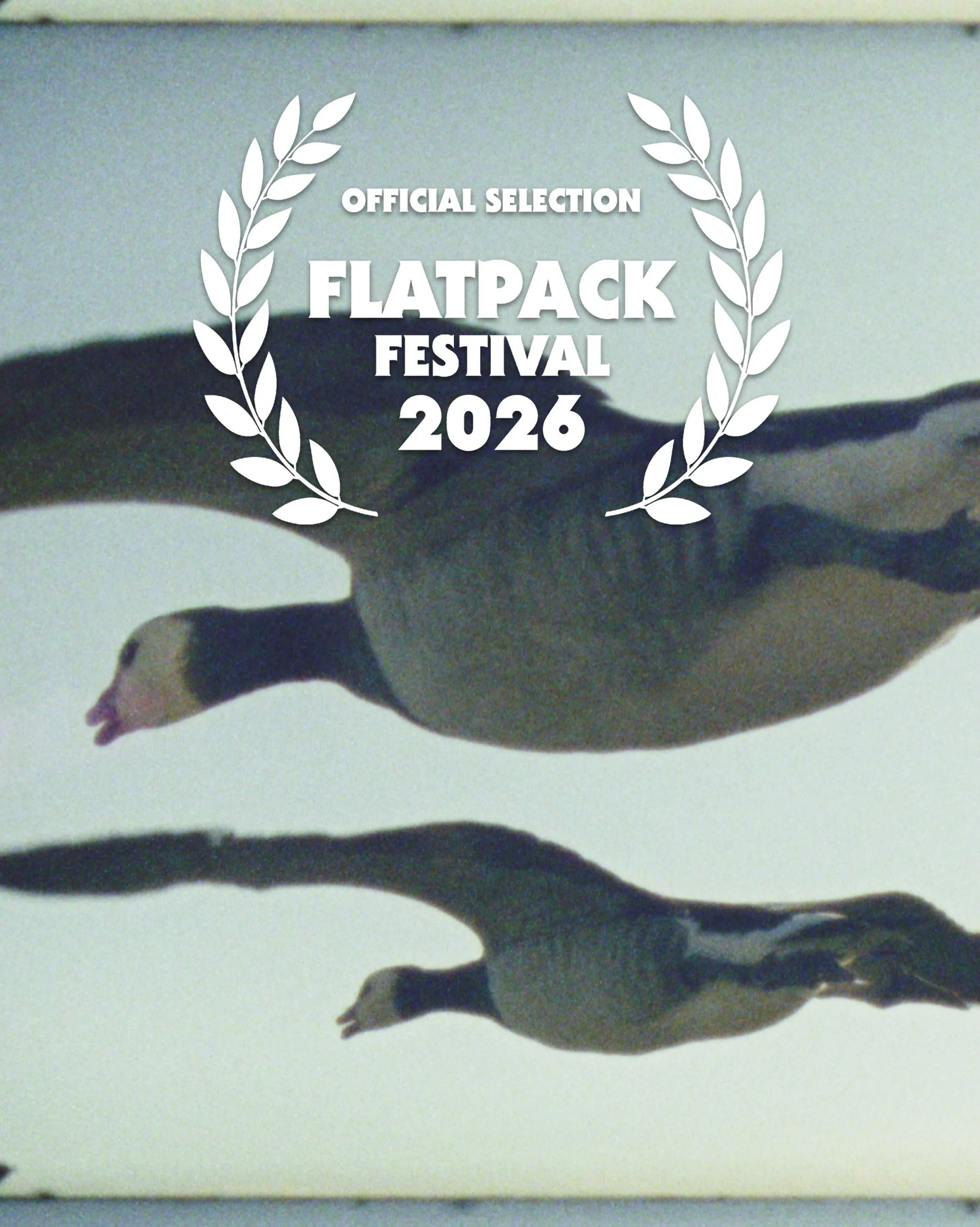 we&rsquo;re lifting off with the next exciting outing for super nature.  this saturday @flatpackfestival in birmingham. screening at noon at @mockbirdcinema the film will be presented by filmmaker collaborator team super nature member @tommerilion 

