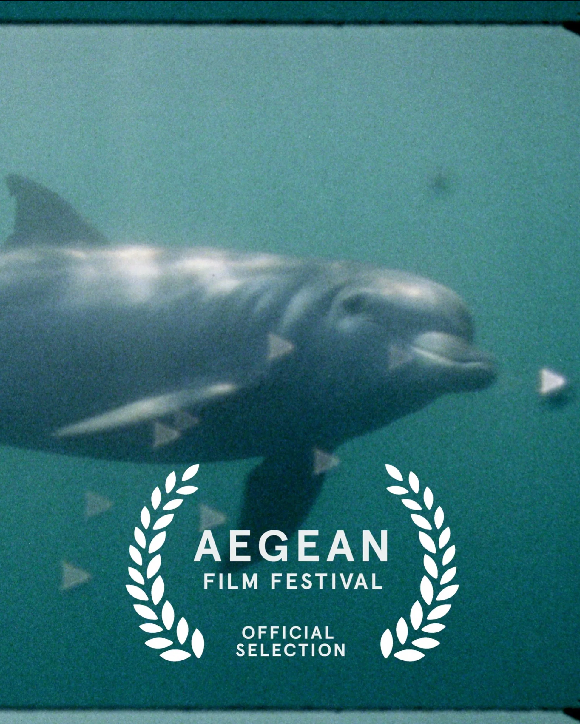 and off we go again!  super nature opens the Echoes environmental strand of @aegeanff on patmos, greece this saturday at 20:30 at the aptly named starfish cinema. director ed sayers @edinstacam will be there to introduce the film at its greek nationa