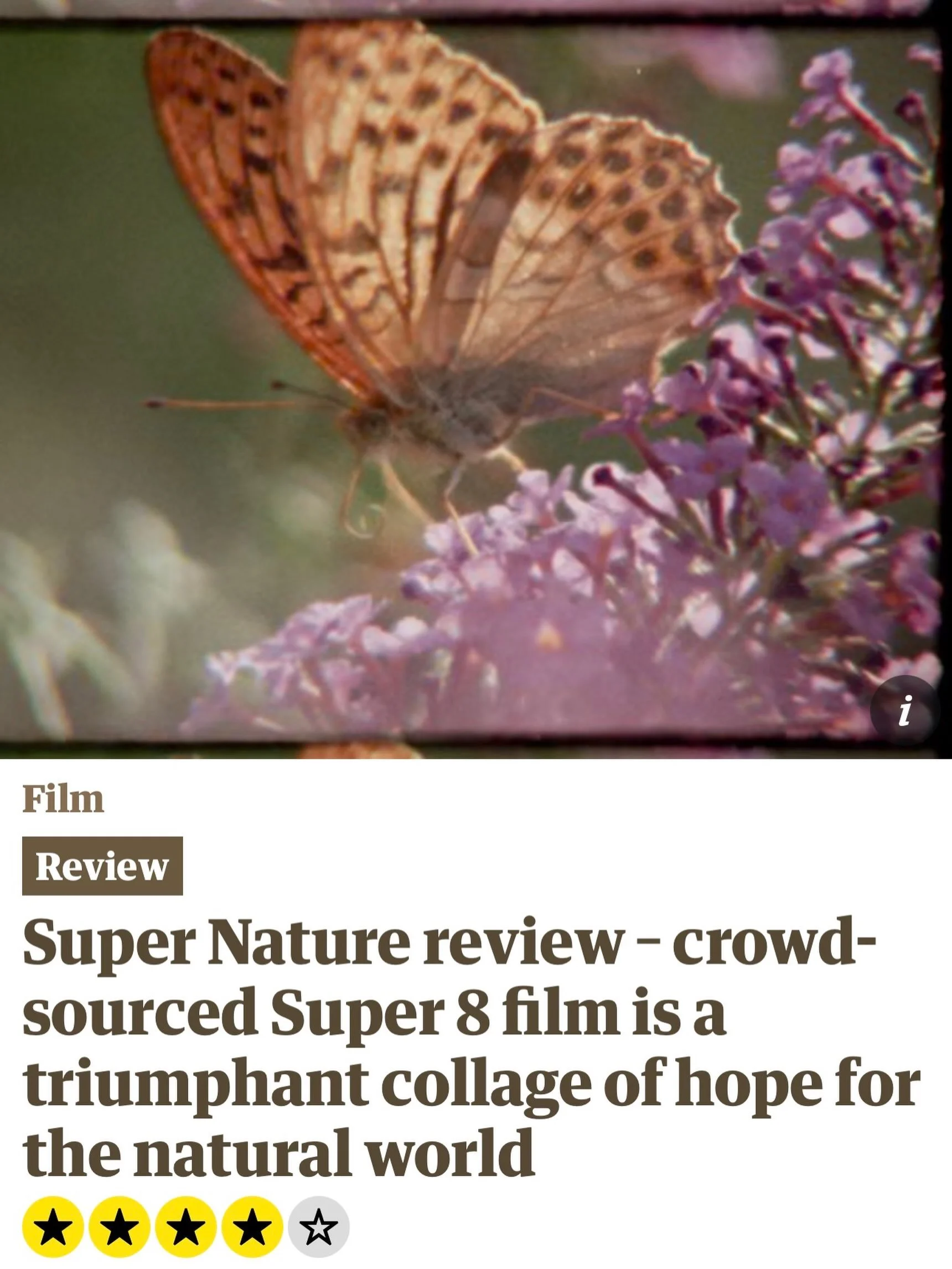 4 stars in the @guardian - we&rsquo;re over the moon! thanks to everyone who worked so hard and who is supporting our love letter to nature created on super 8 by people connecting across the world, as it makes its way out there. read the review here 
