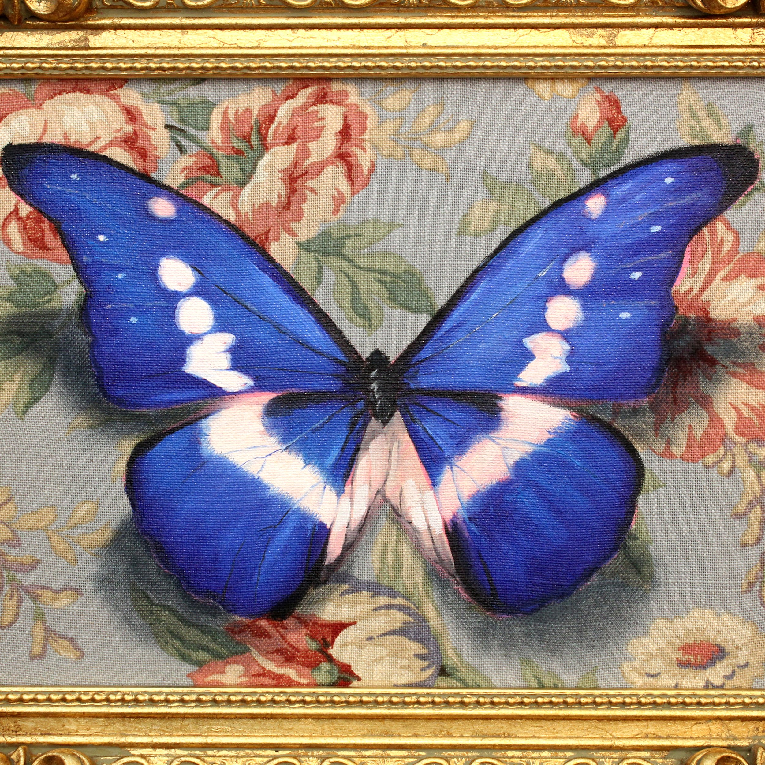 Morpho Helena_Detail01_10x10.jpg