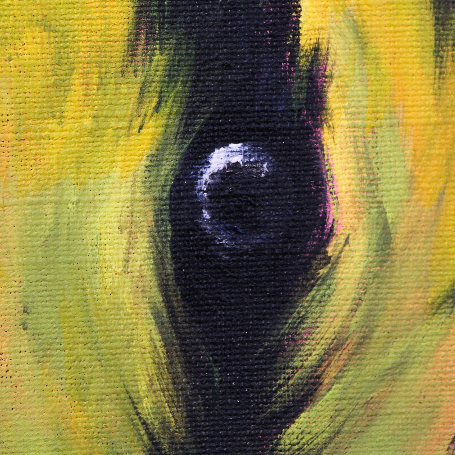 Golden Cheeked Warbler 03_detail03.jpg