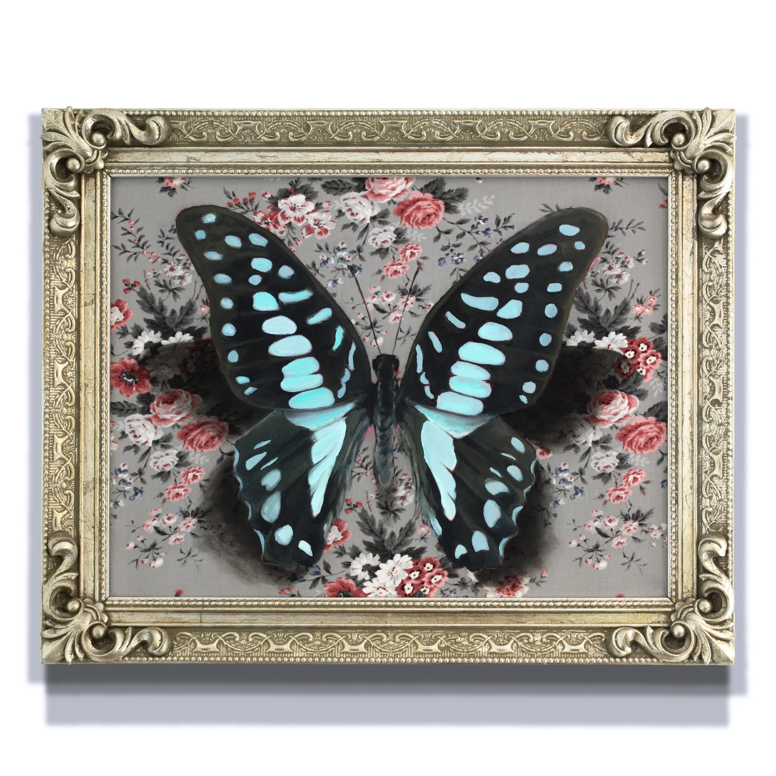 Graphium doson_Full_10x10.jpg