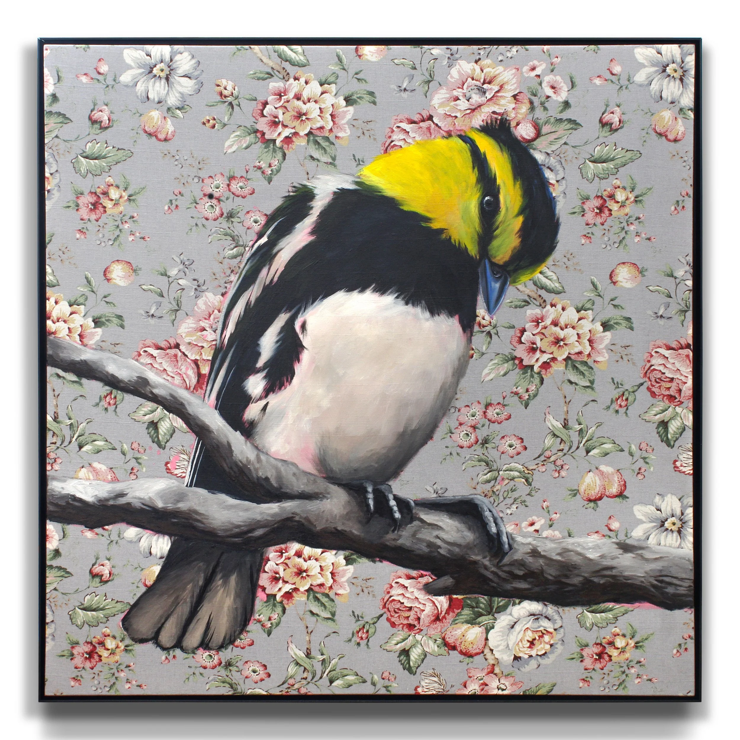 Golden-Cheeked Warbler 03 (sold)