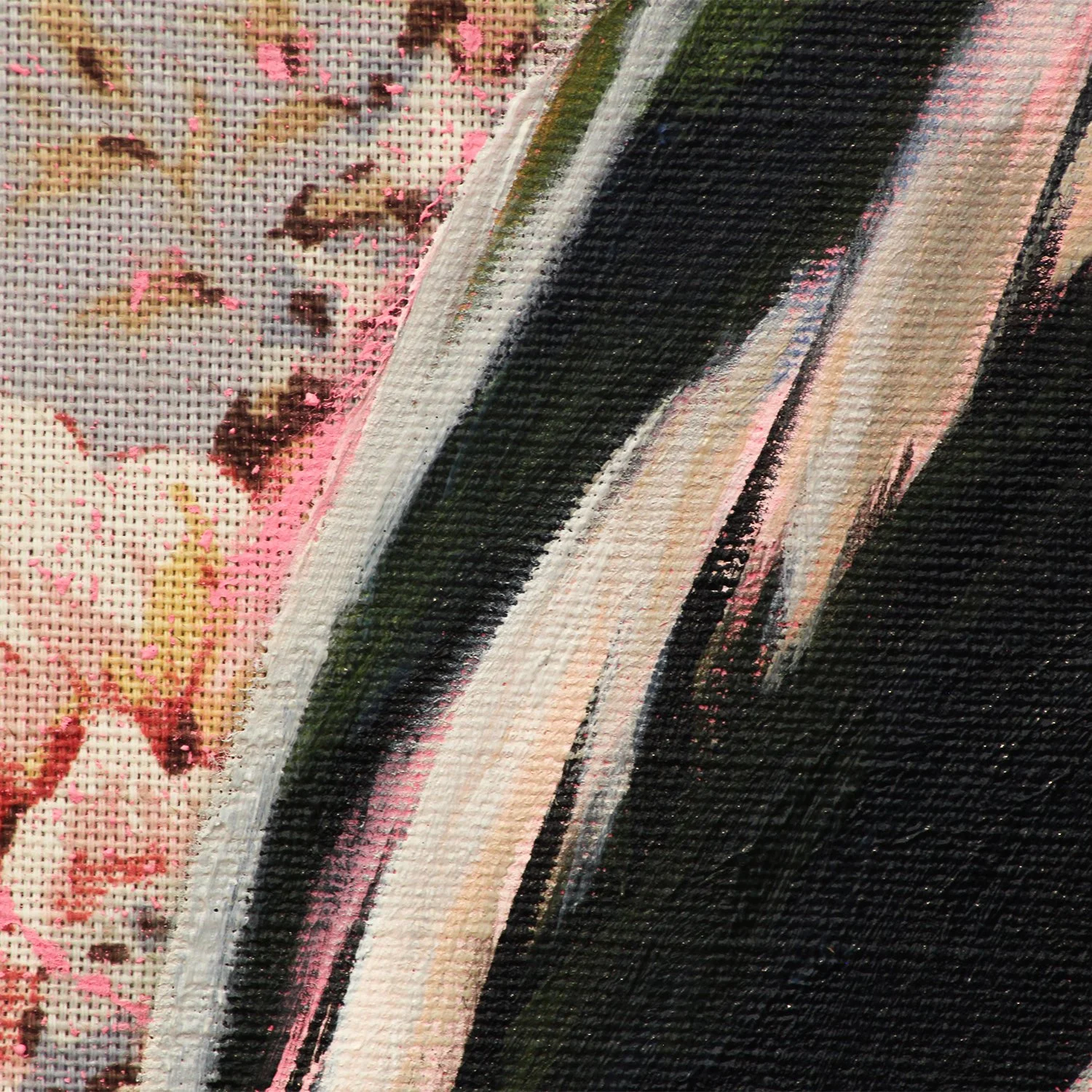 Golden Cheeked Warbler 03_detail02.jpg