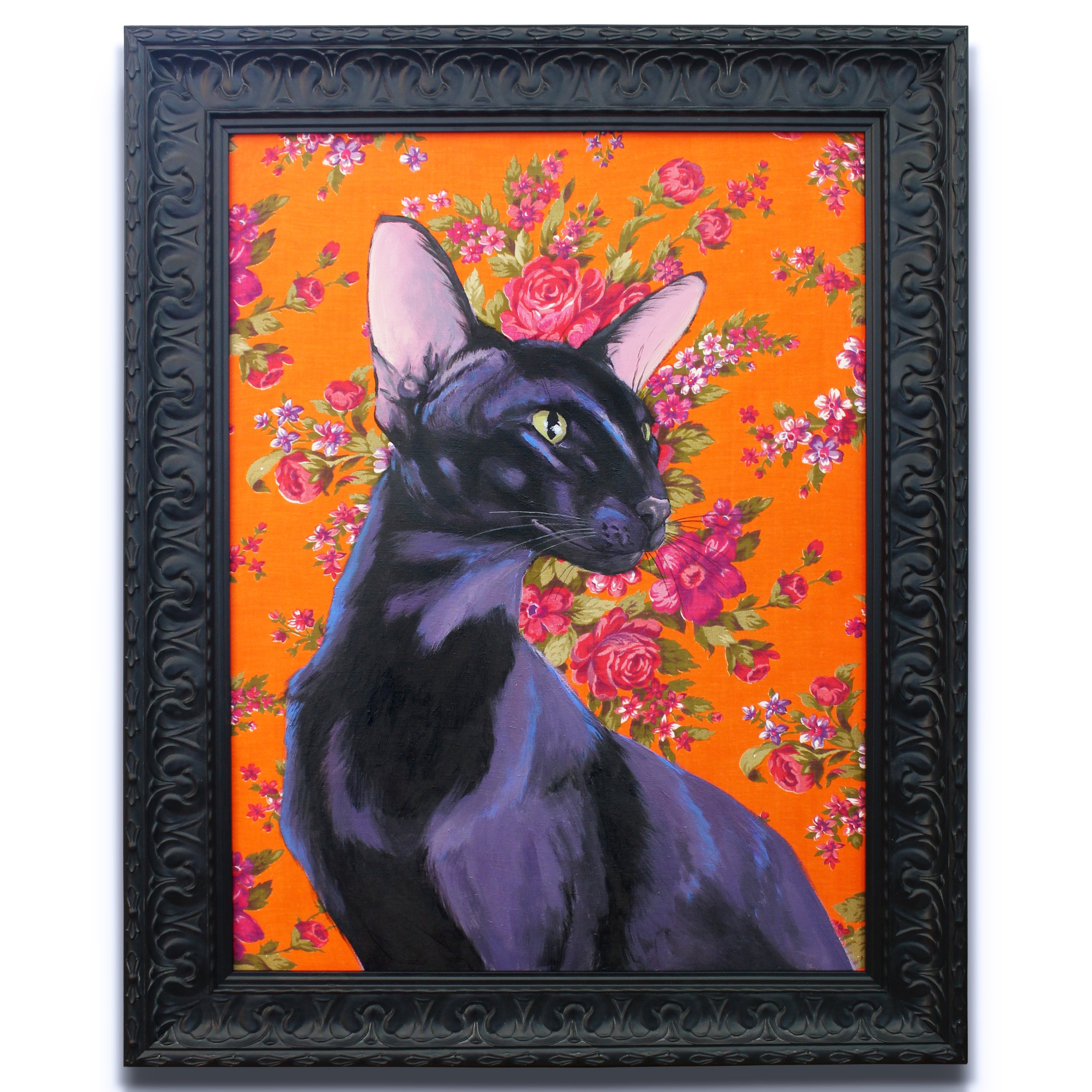 Oriental Shorthair Cat