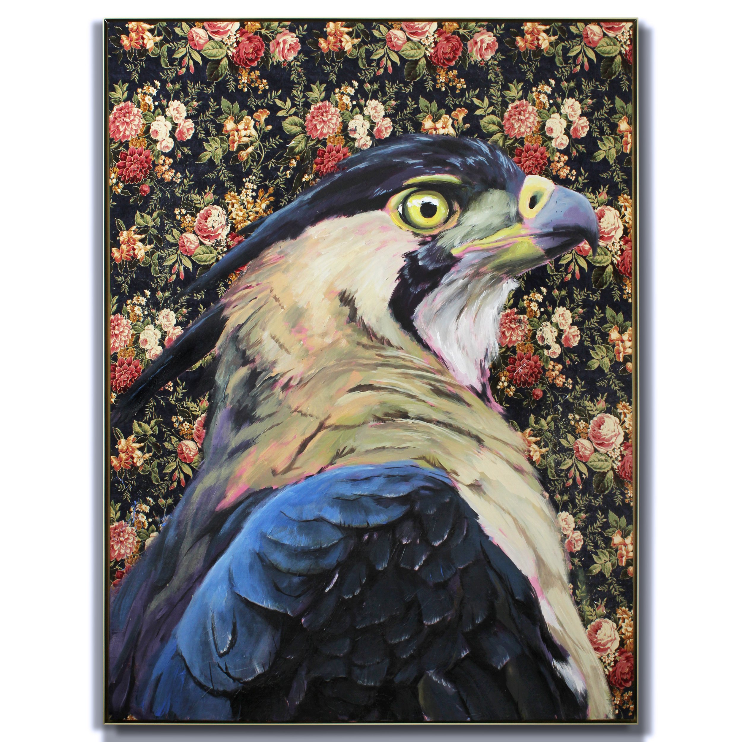 Ornate Eagle Hawk