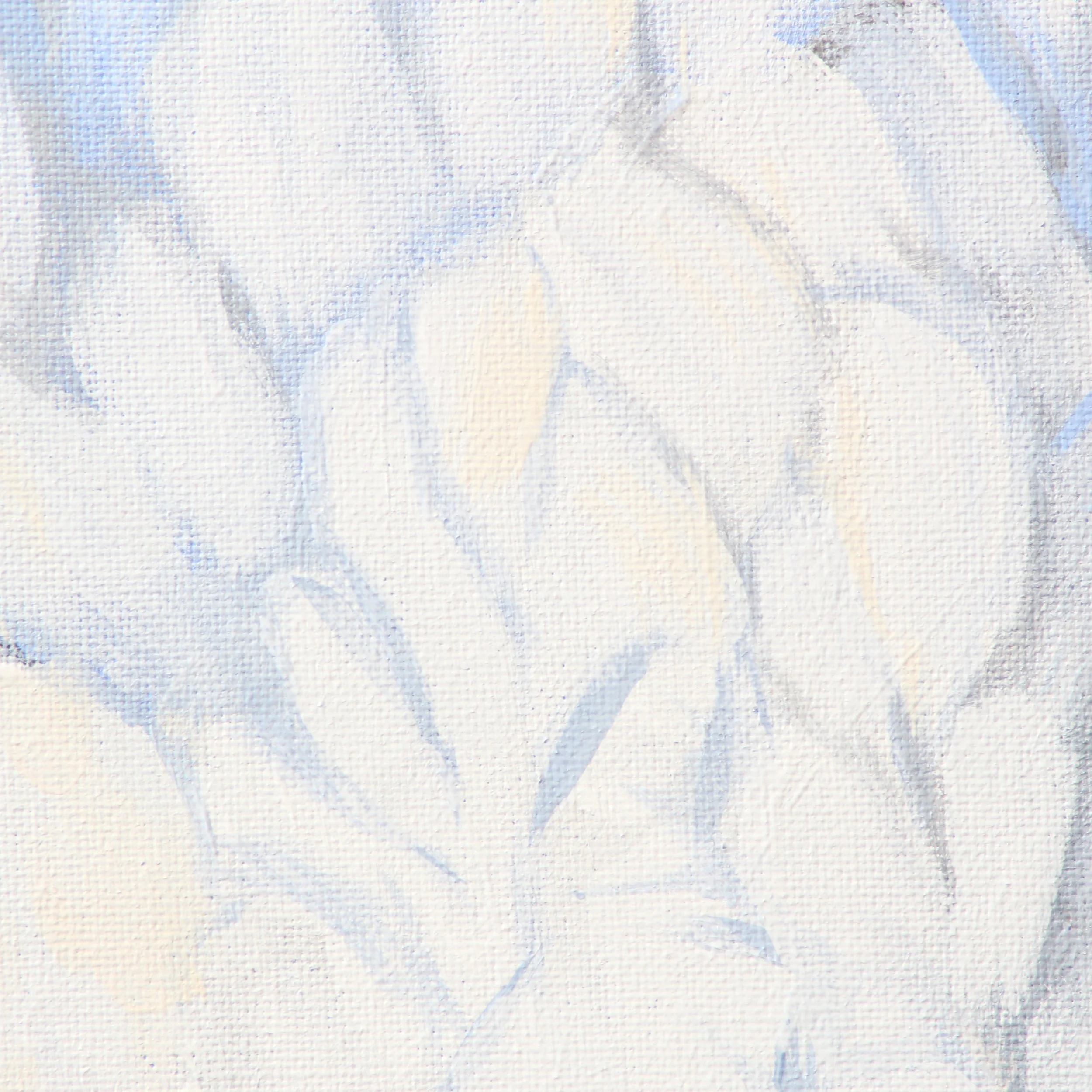 Whooping Crane_Detail04_10x10.jpg
