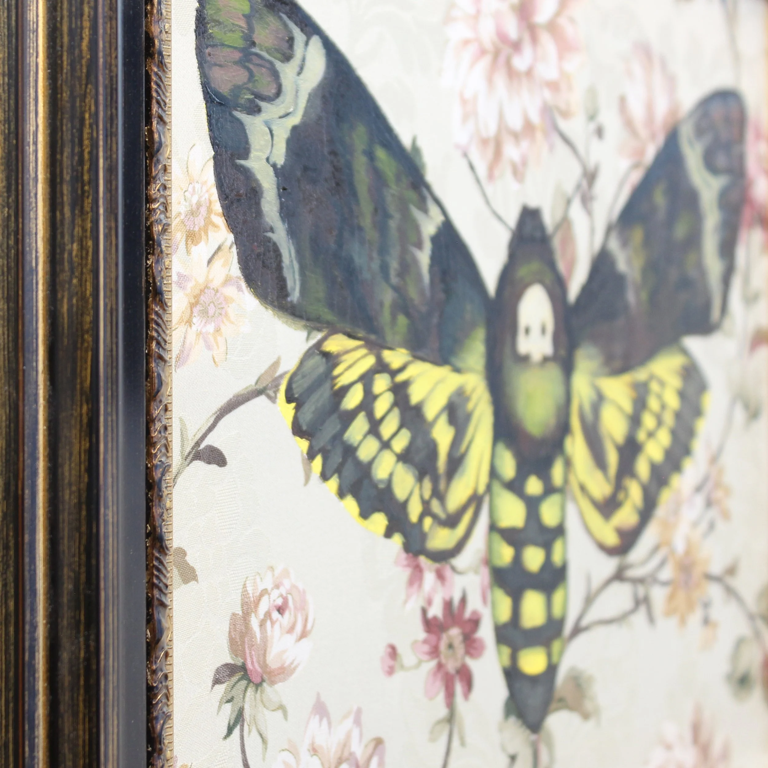 Death's Head Moth_detail02.jpg