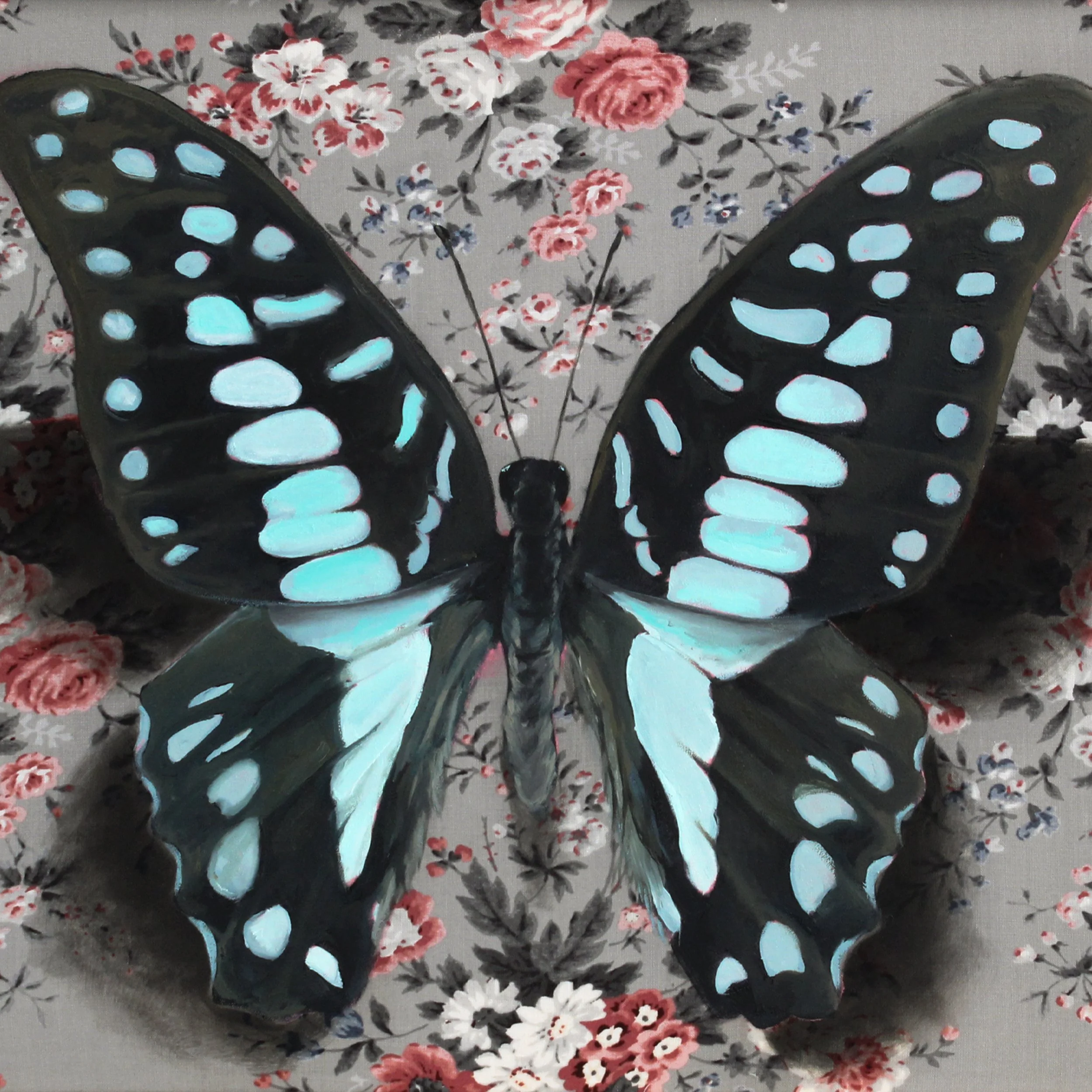 Graphium doson_Full02_10x10.jpg