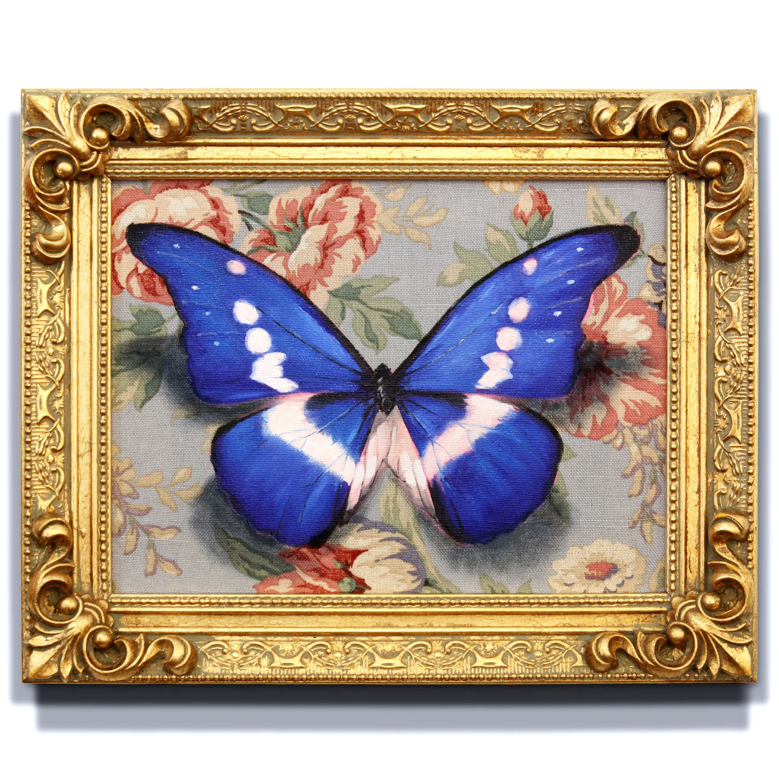 Morpho Helena_Full_10x10.jpg
