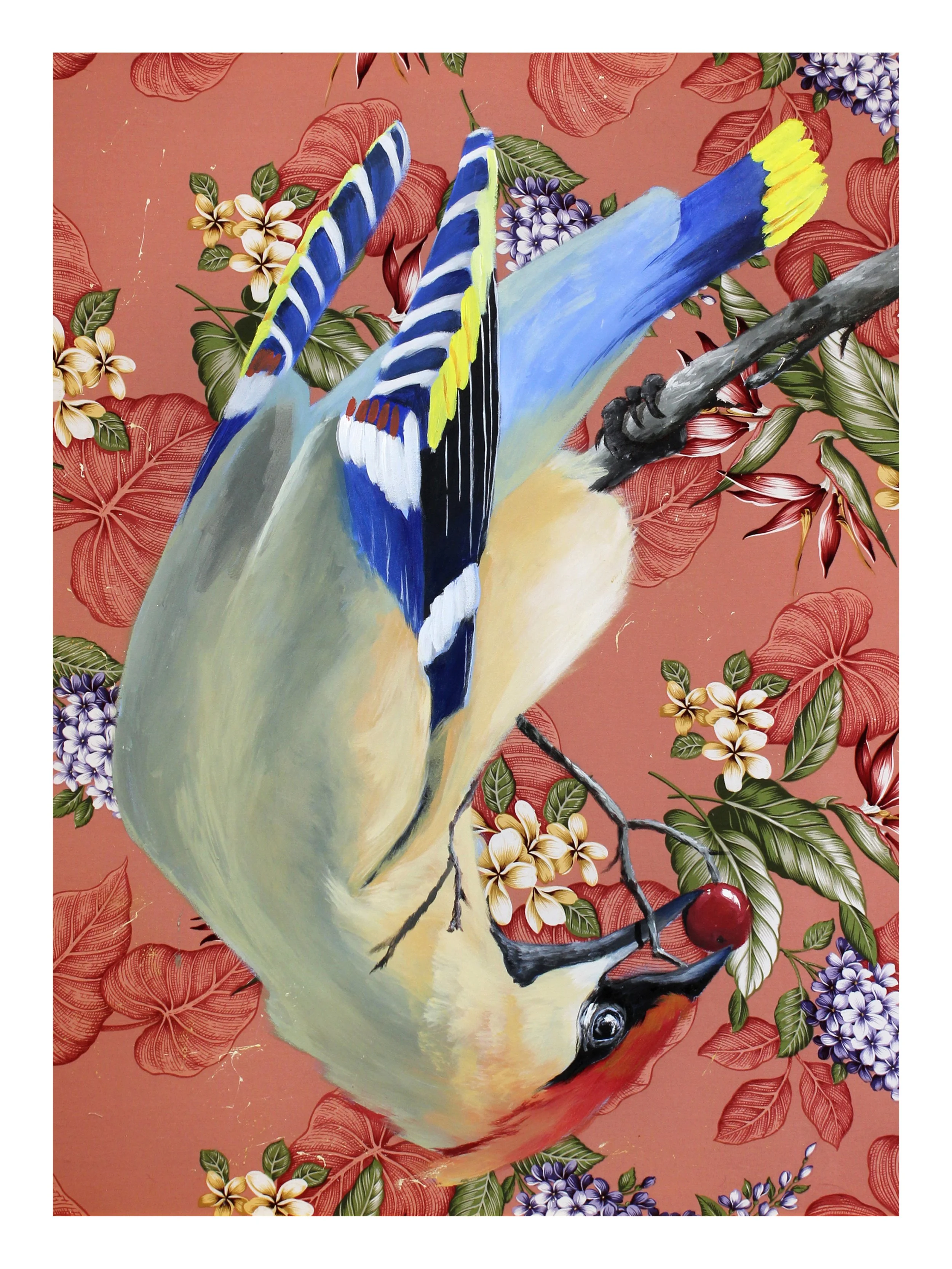 Cedar Wax Wing_9x12.jpg