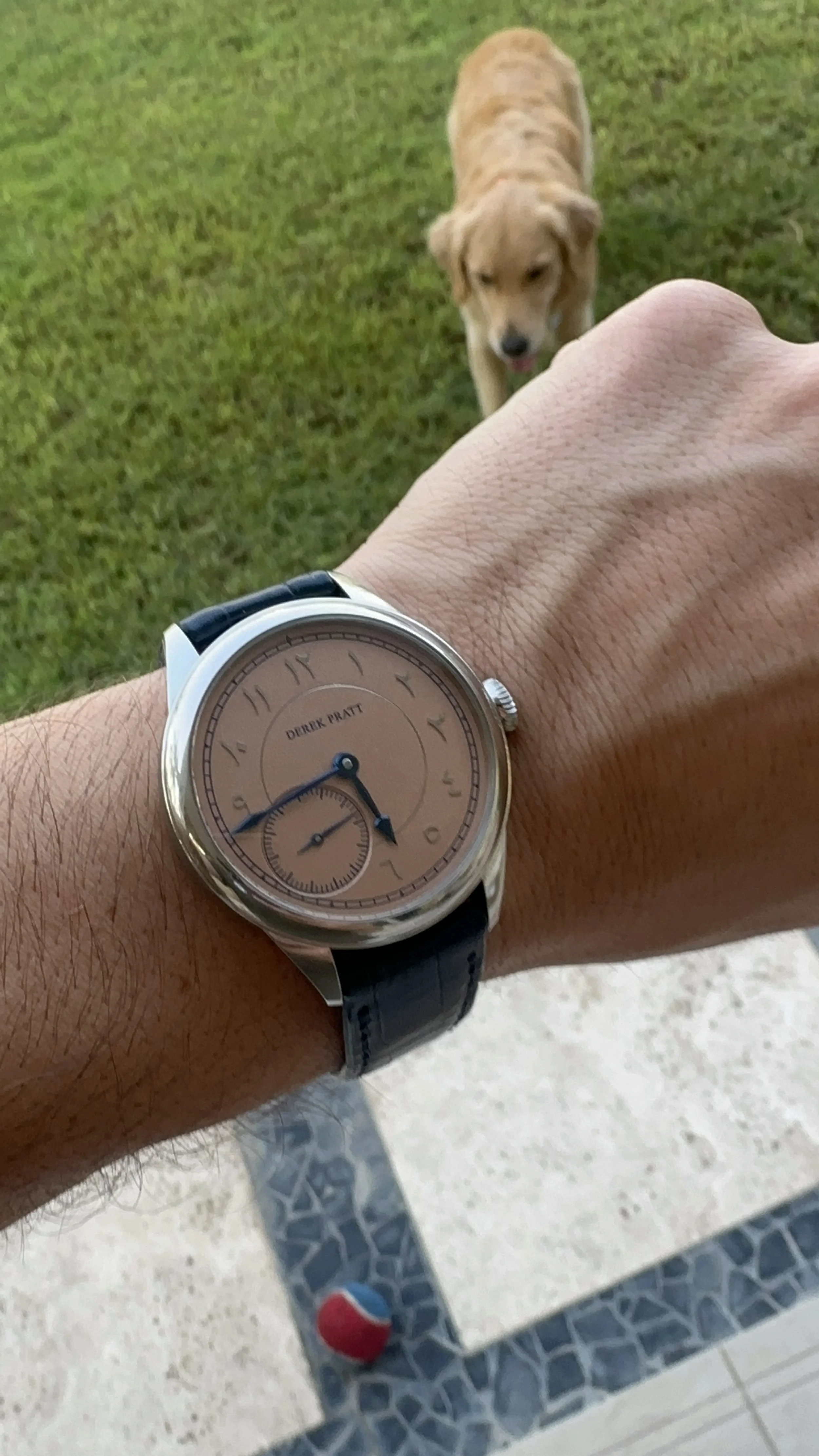 A person's wrist wearing a Derrick Pratt watch with a tan dial and black leather strap, with a golden retriever approaching in the background on a grassy area.
