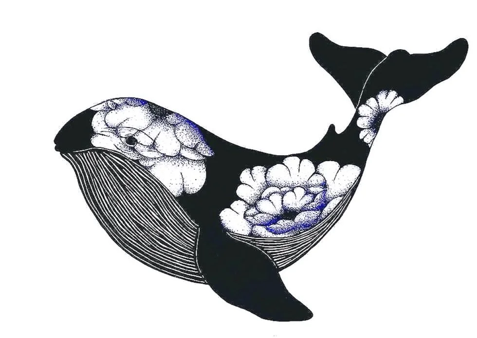 whale-fineline-illustration.jpg