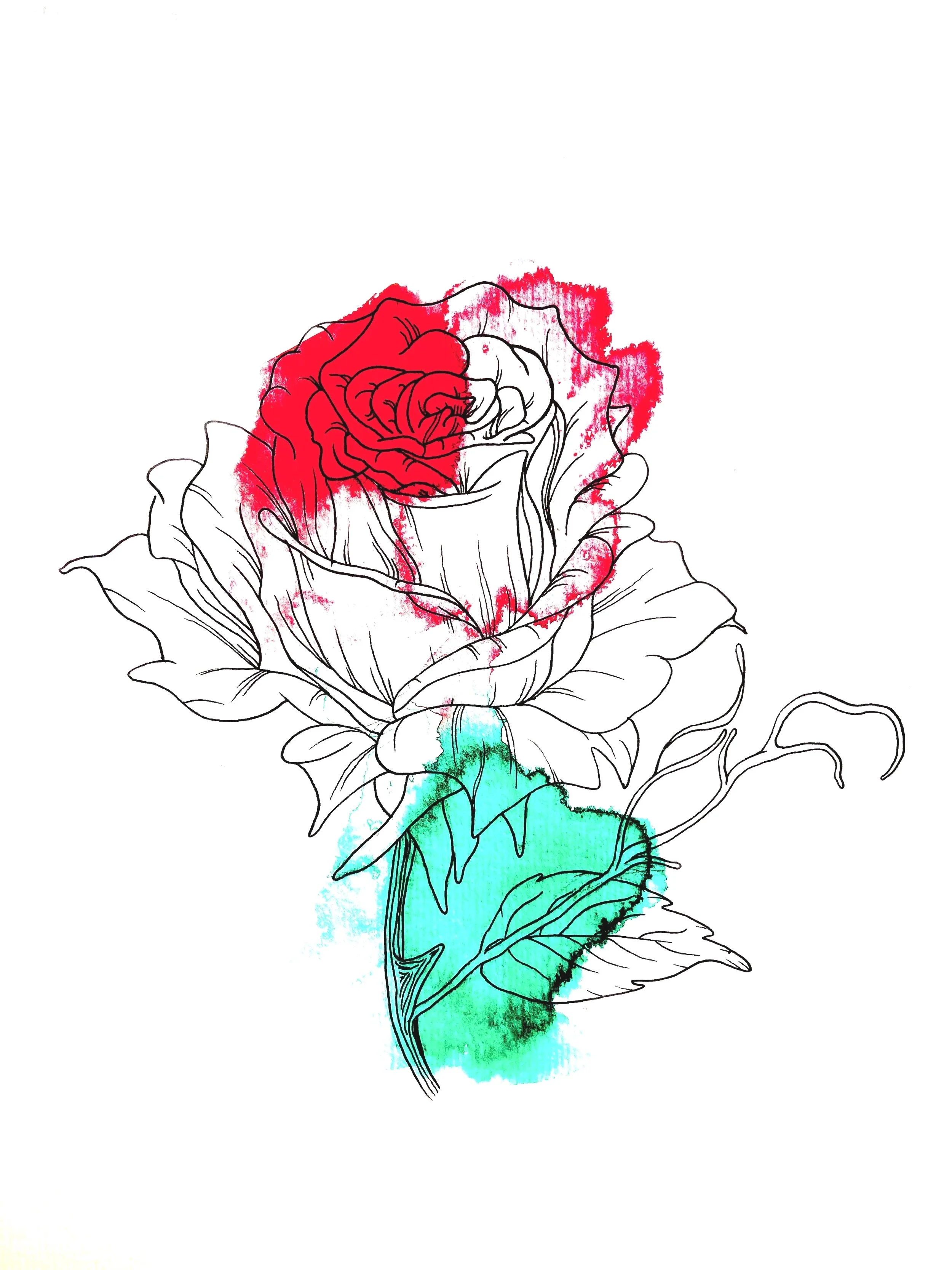 2D818F0B-6E68-4AC1-B29C-C9425069F154.jpg