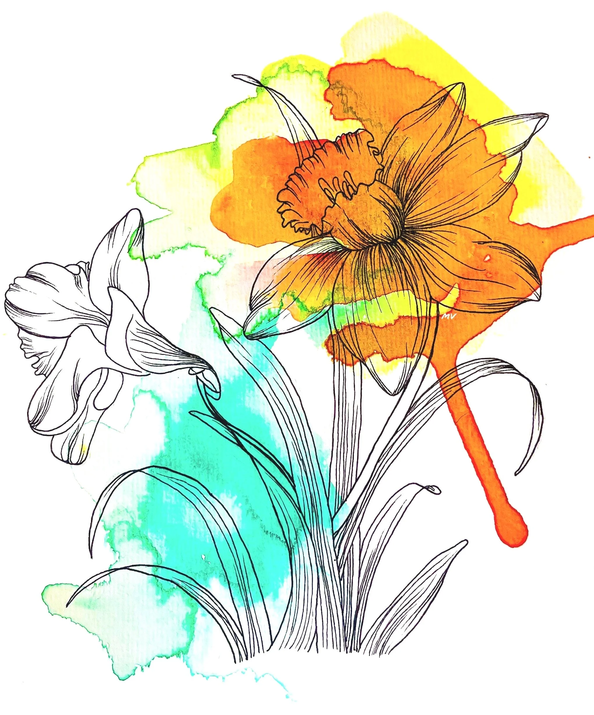 A924CAF6-6A47-4C70-B158-05905BC99EE1.jpg