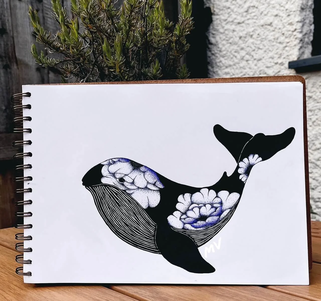 Whale illustration