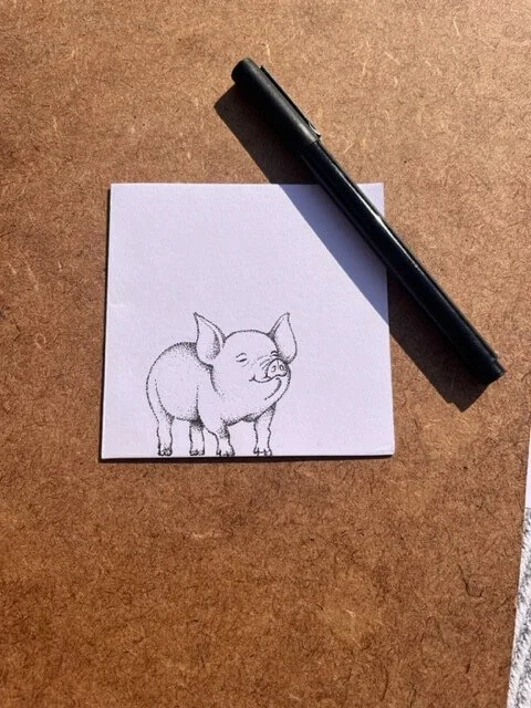 Pig Fine Line Illustration