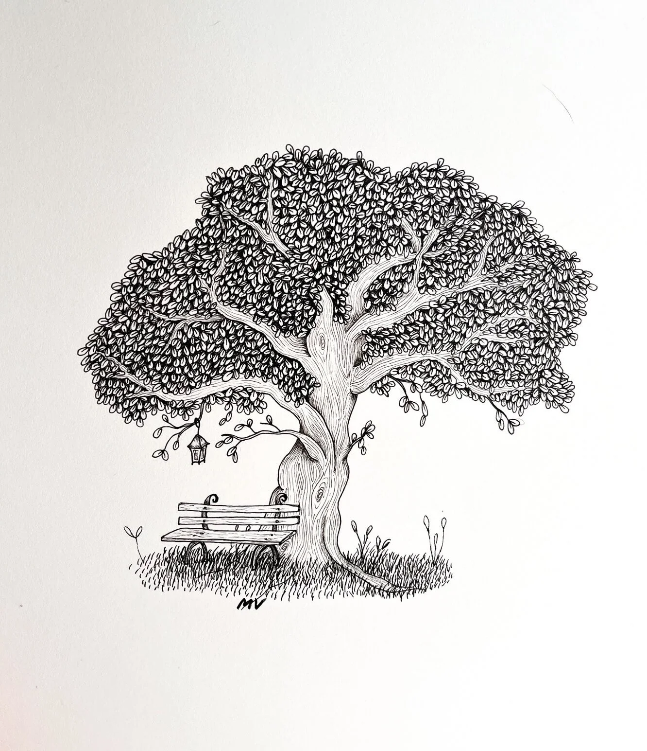 Tree Illustration