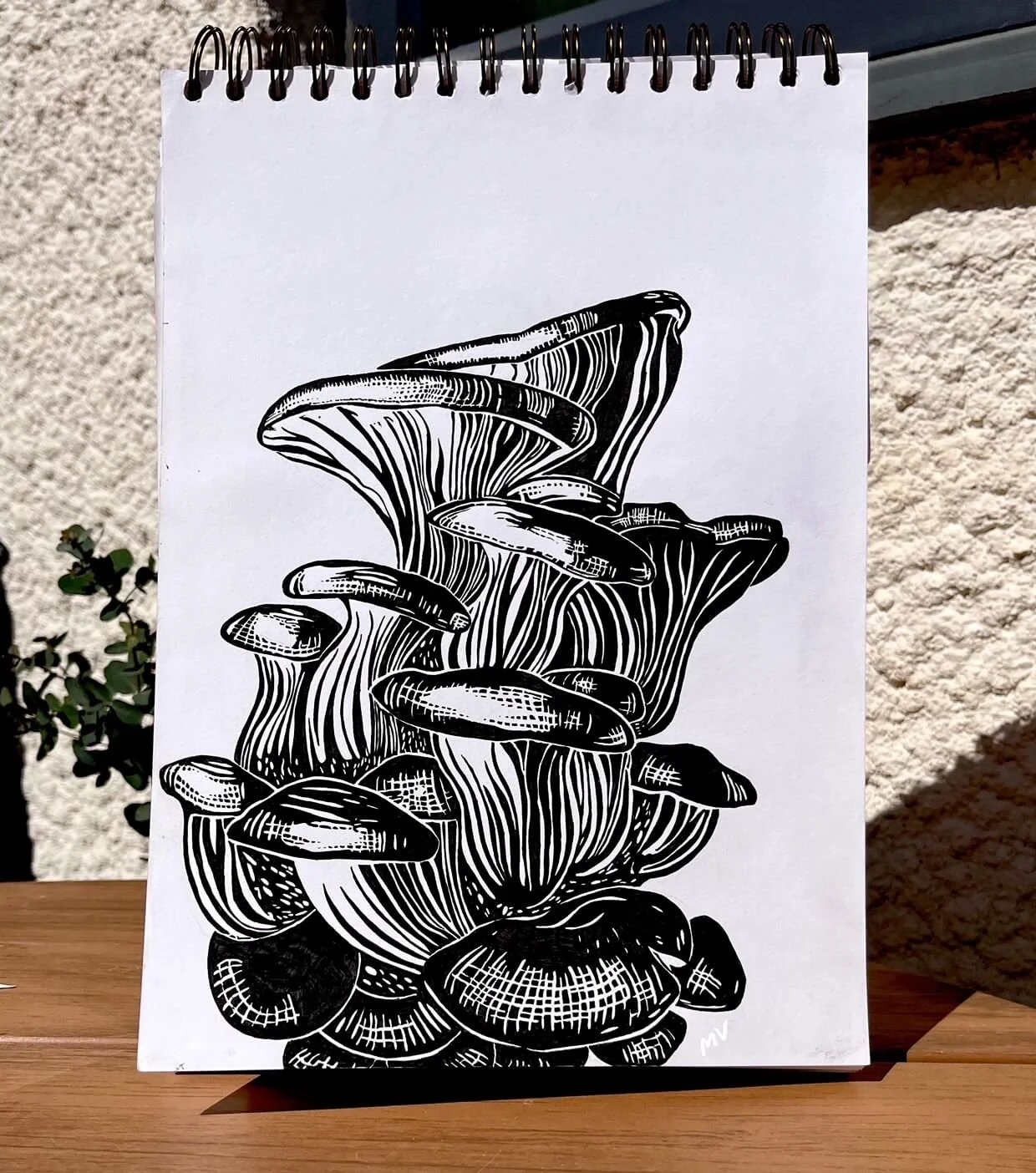 Wild Mushroom Illustration