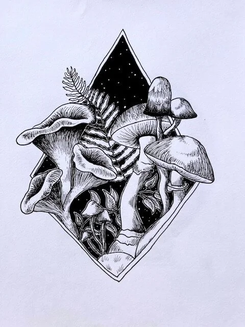 Mushroom Illustration