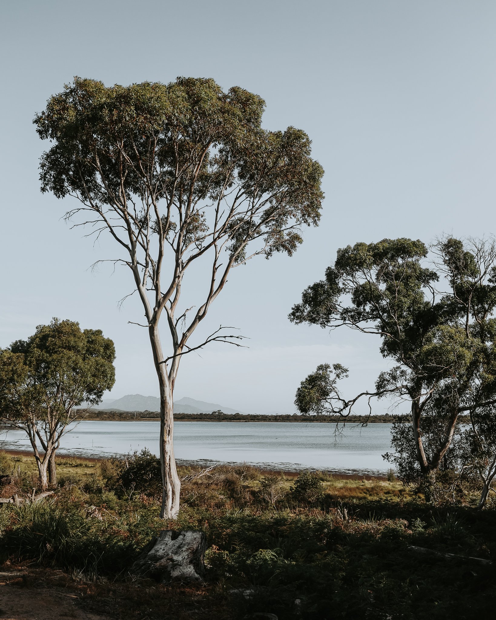 untitled-39.jpg