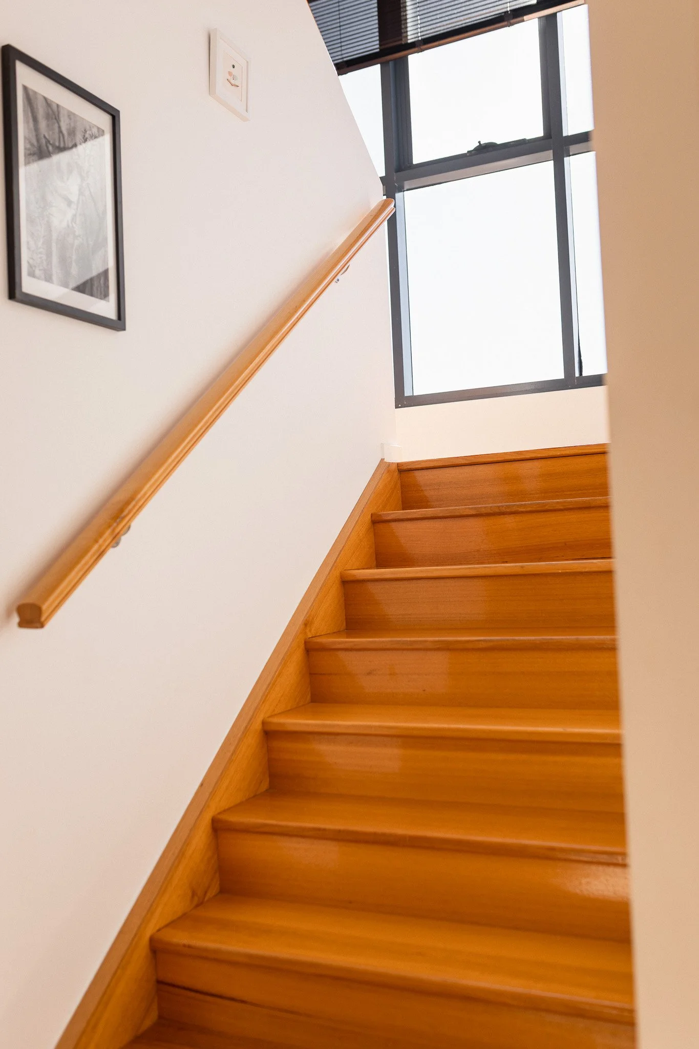 313Harvey-14.jpg