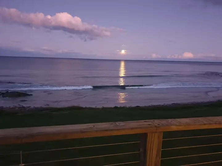 092b91f4-14fb-4e21-9af1-168a32ff49de.jpeg