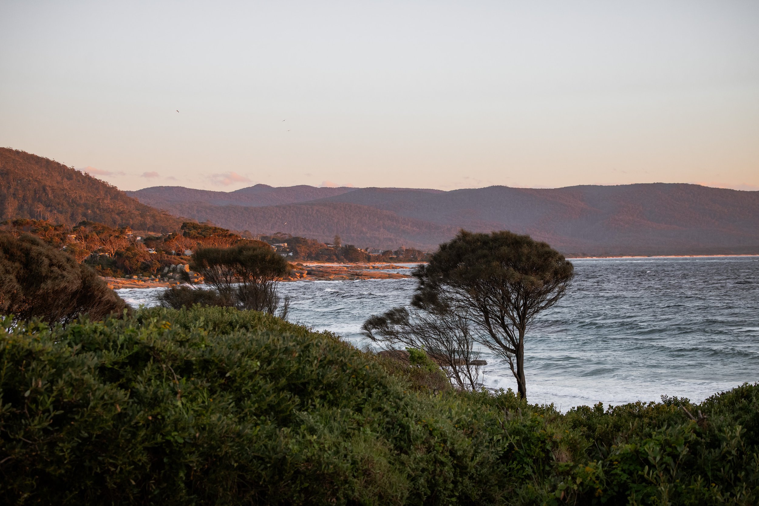 Cooinda_Jun25-44.jpg