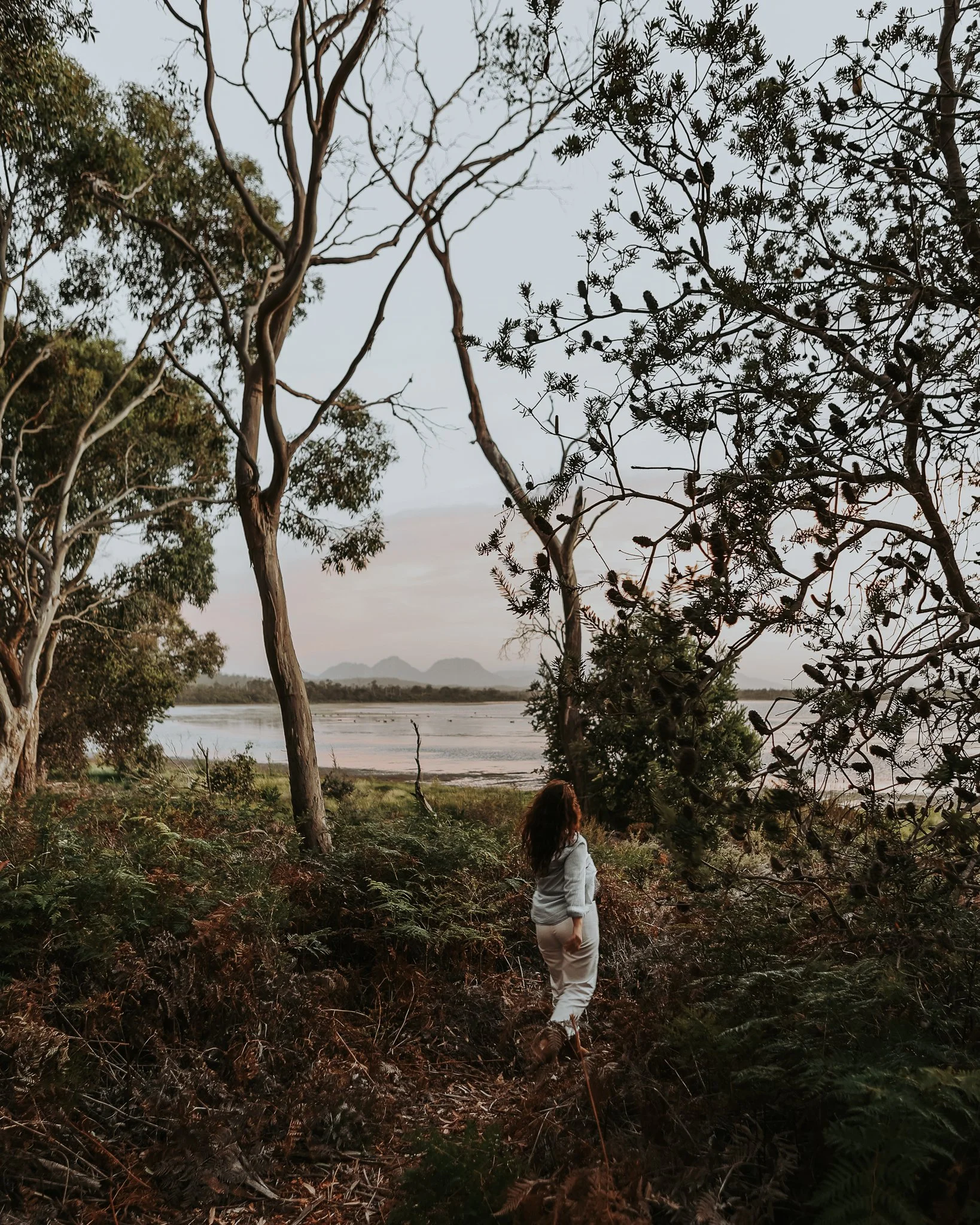 untitled-65.jpg